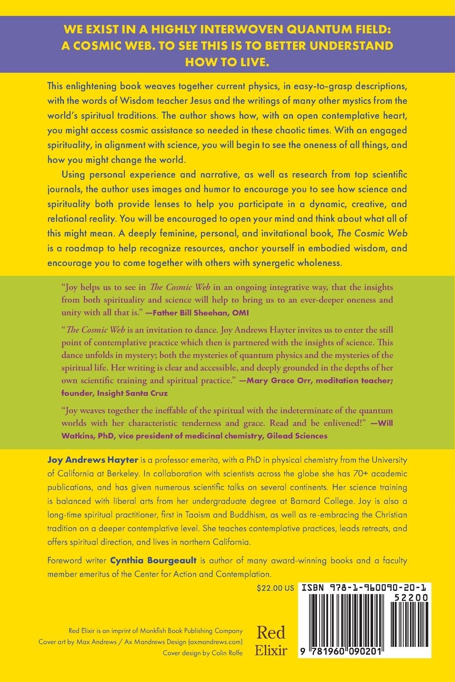 Rückseitencover The Cosmic Web