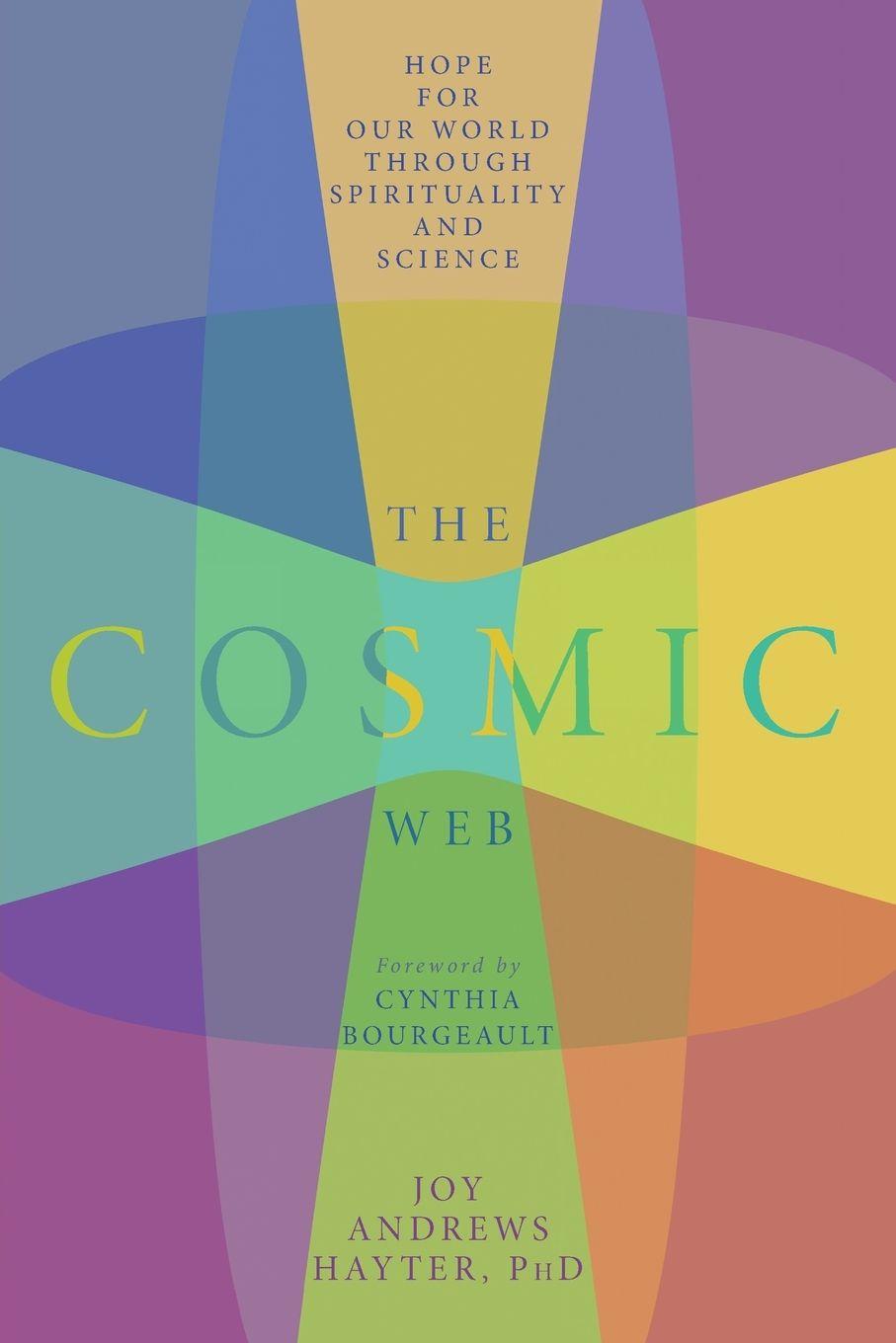 Vorderes Coverbild The Cosmic Web