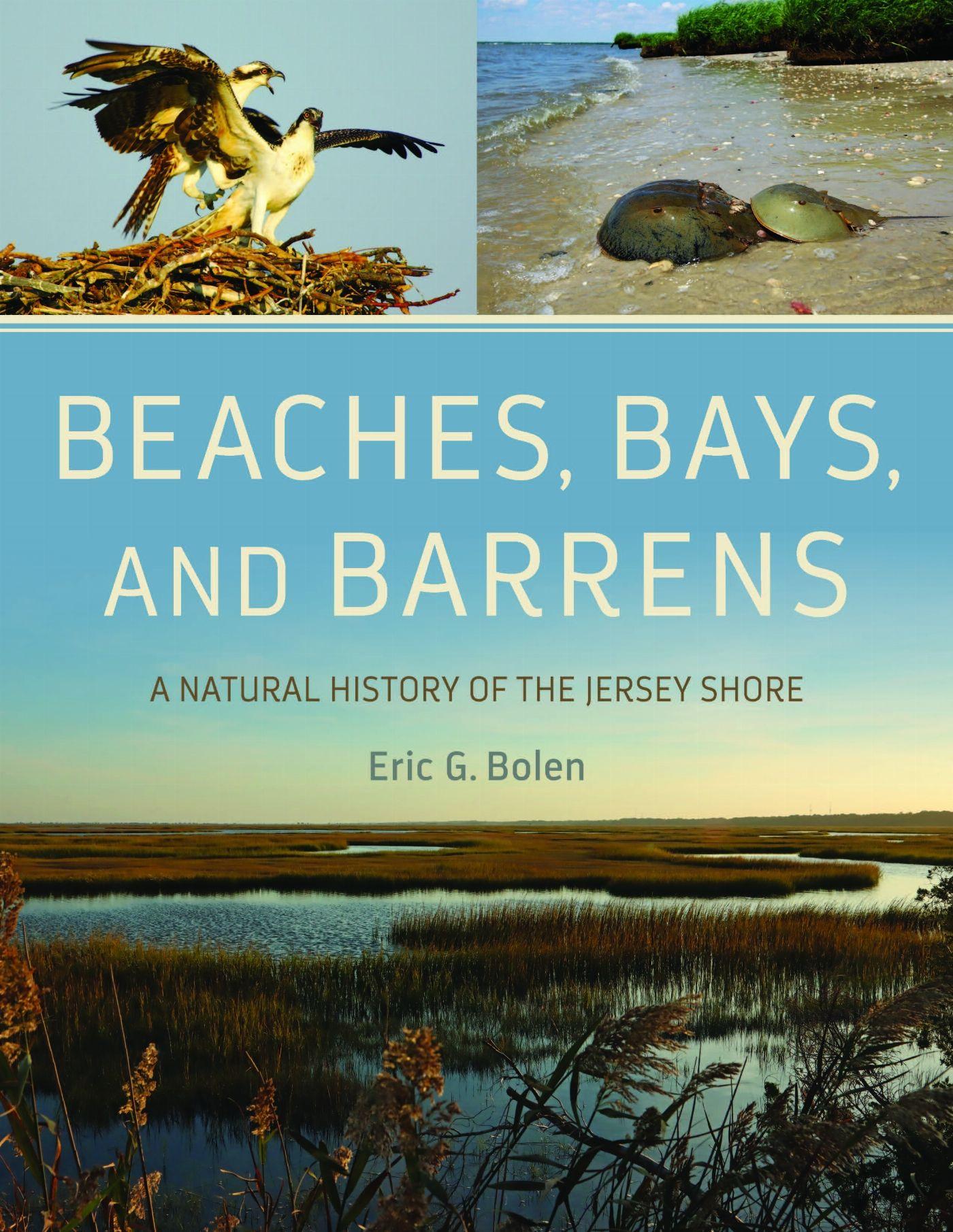 Vorderes Coverbild Beaches, Bays, and Barrens
