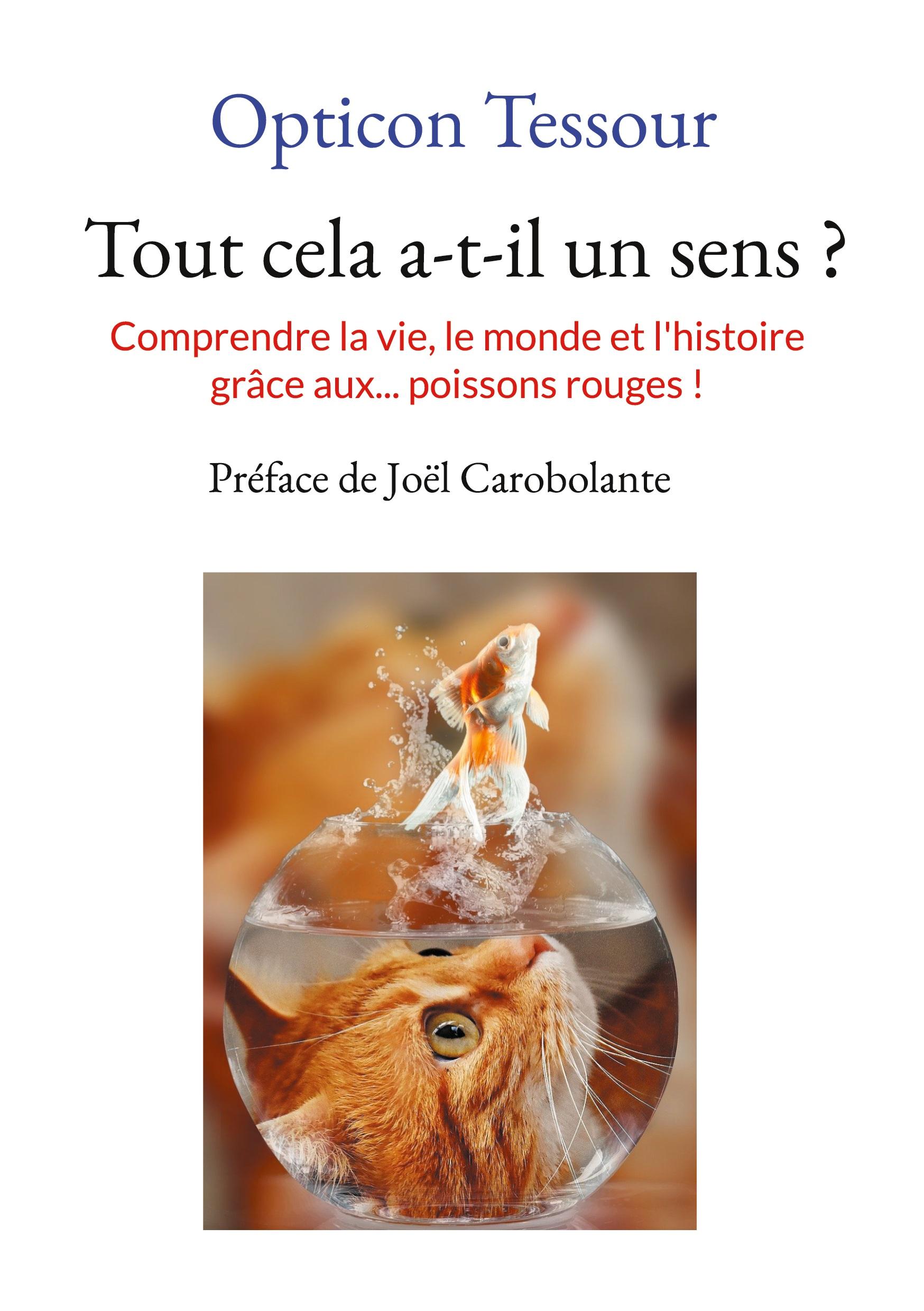 Vorderes Coverbild Tout cela a-t-il un sens ?