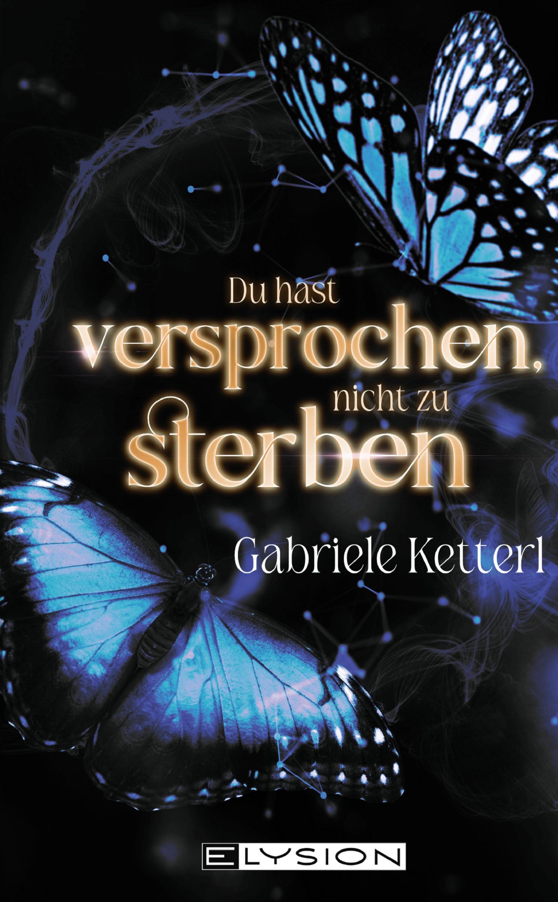 Vorderes Coverbild Du hast versprochen nicht zu sterben