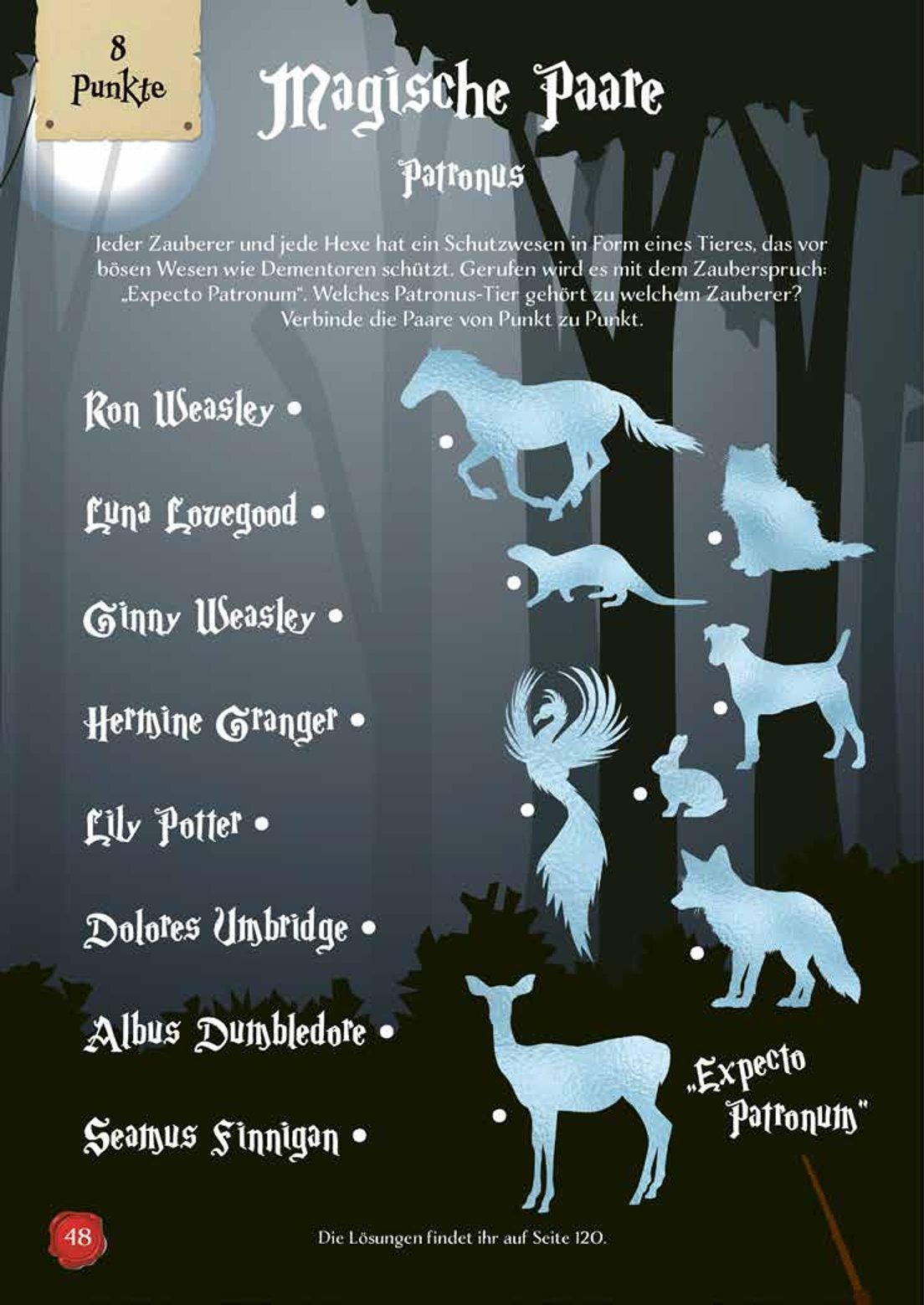 Beispielinhalt (Bild) Das große Rätsel- & Quizbuch für alle Potterheads (von der bekannten Bloggerin Susi Strickliesel)