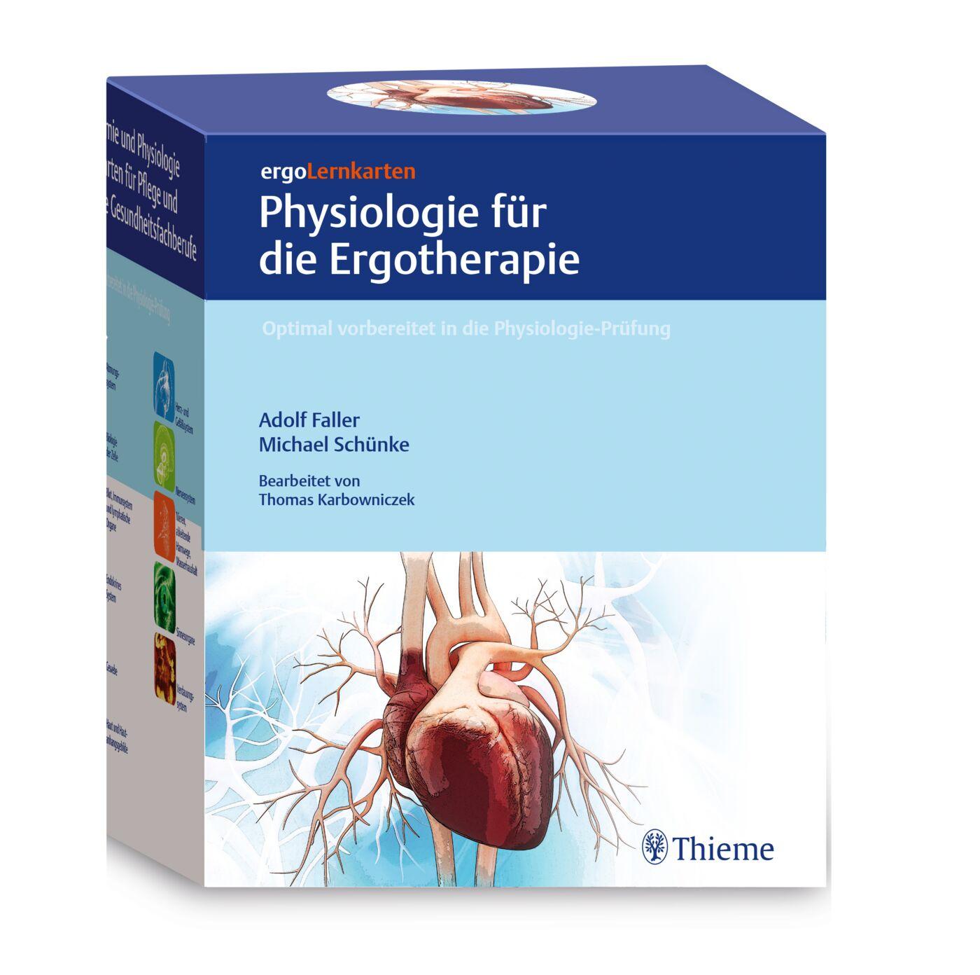 Vorderes Coverbild ergoLernkarten - Physiologie für die Ergotherapie