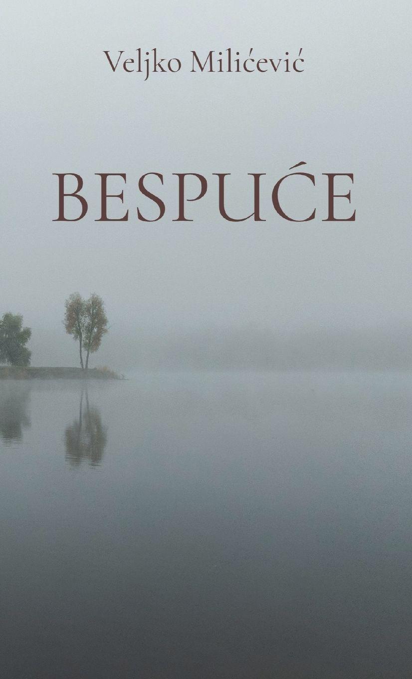 Vorderes Coverbild Bespuce