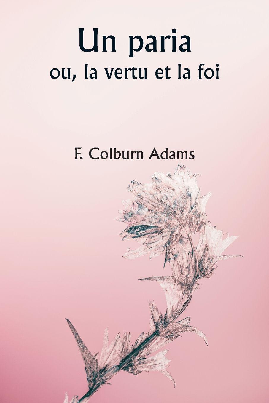Vorderes Coverbild An Outcast  Or, Virtue and Faith