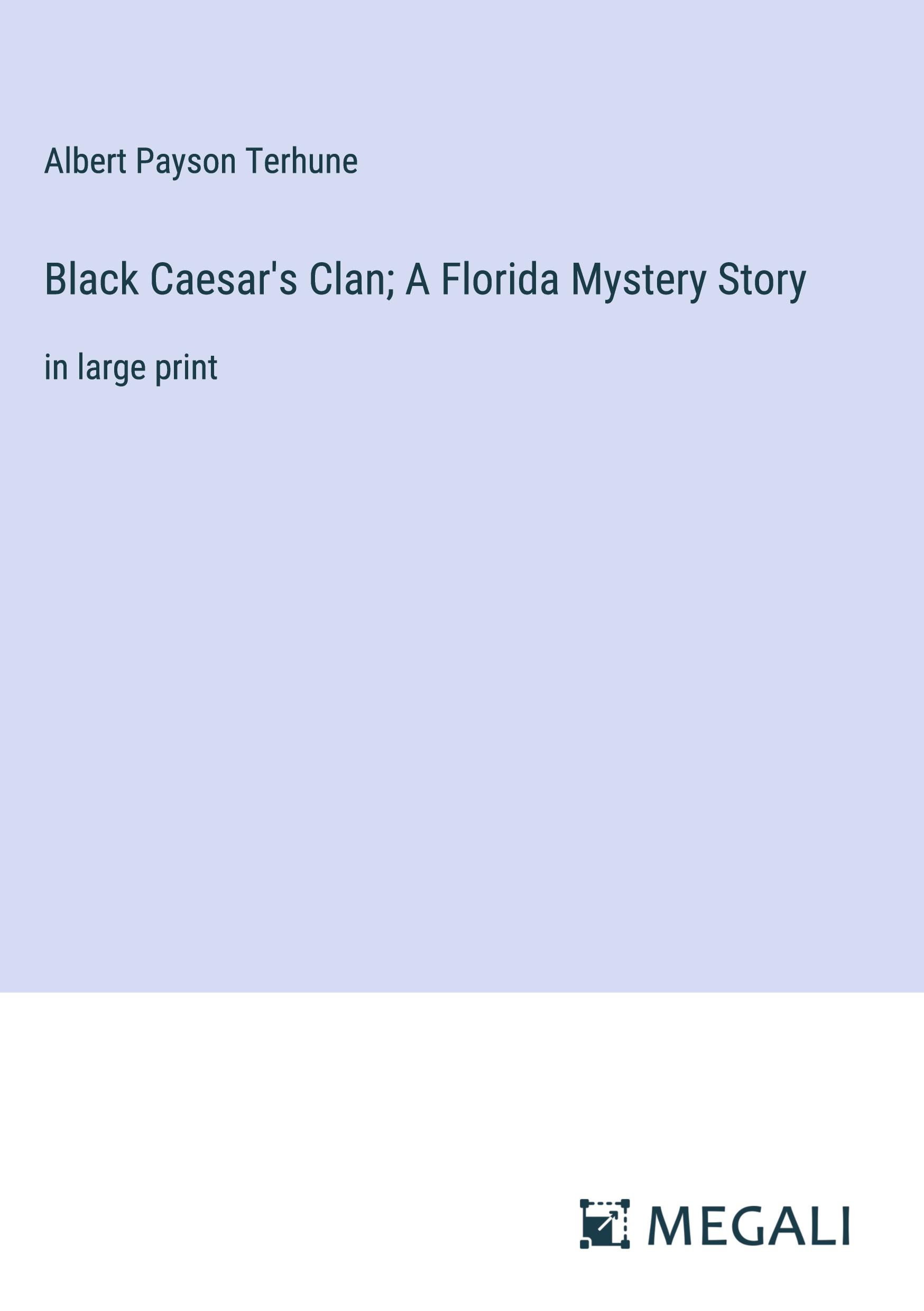 Vorderes Coverbild Black Caesar's Clan; A Florida Mystery Story
