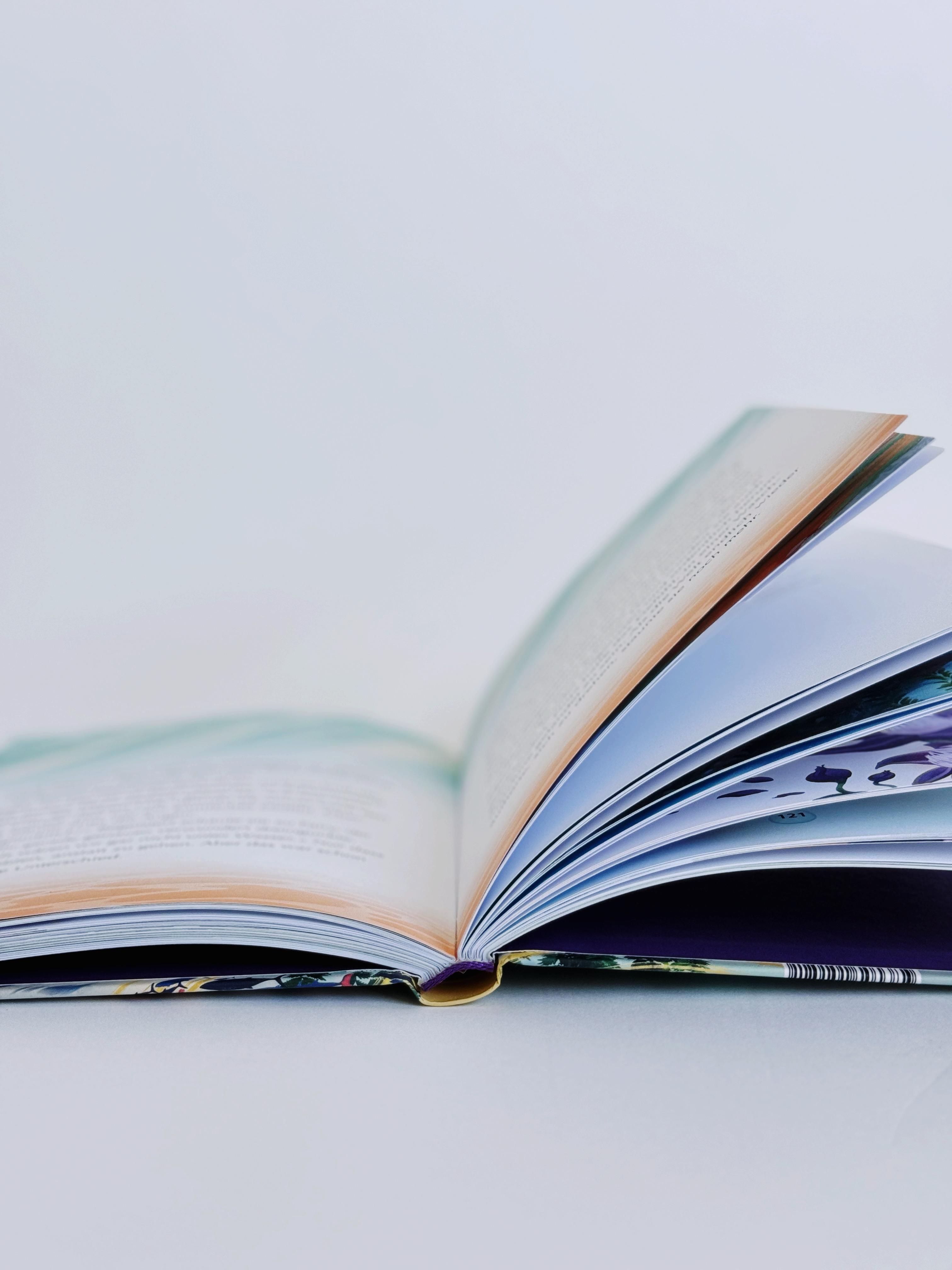 Beispielinhalt (Bild) Finja und Fairy - Das Lied der Nixen