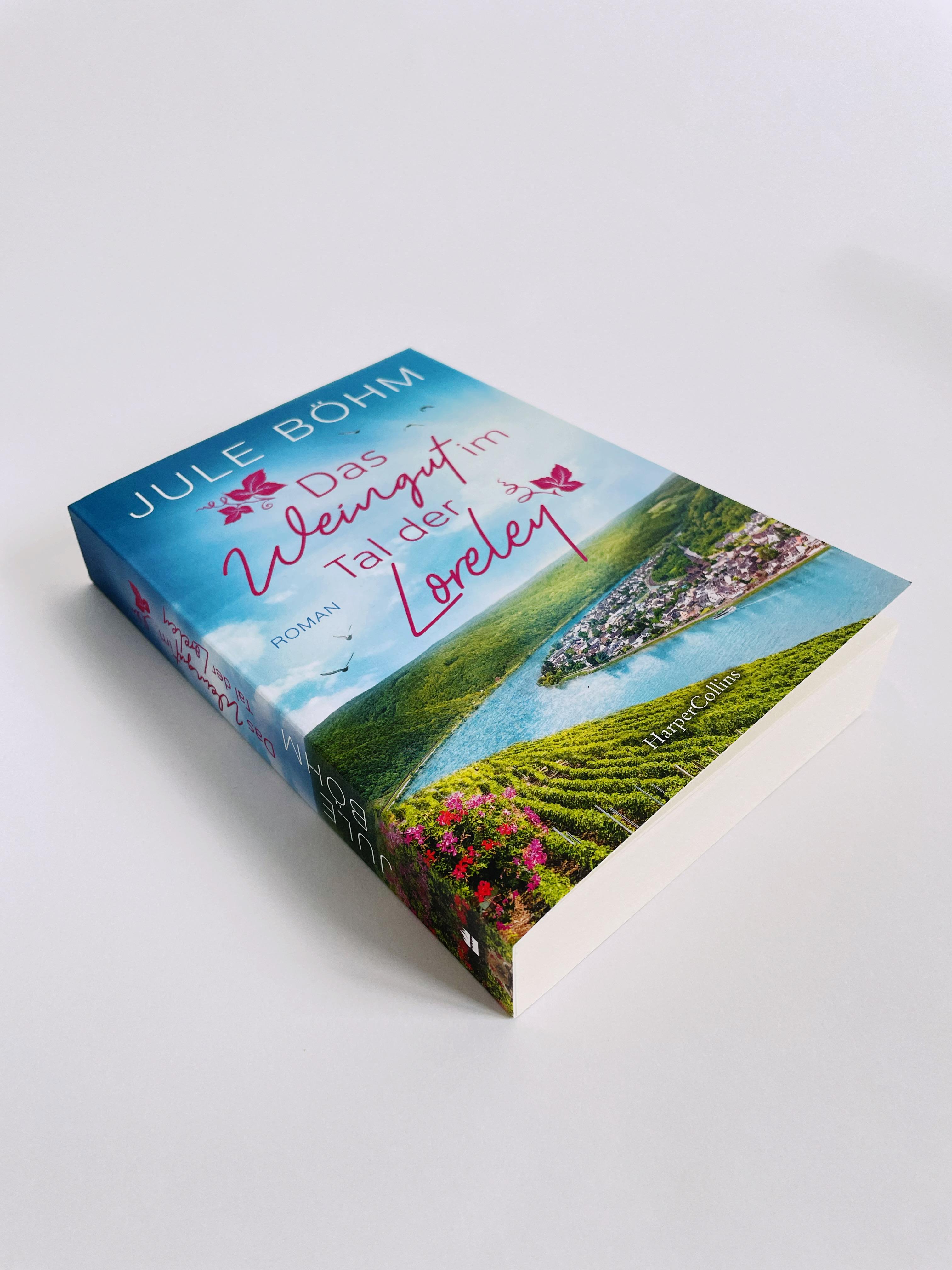 Beispielinhalt (Bild) Das Weingut im Tal der Loreley