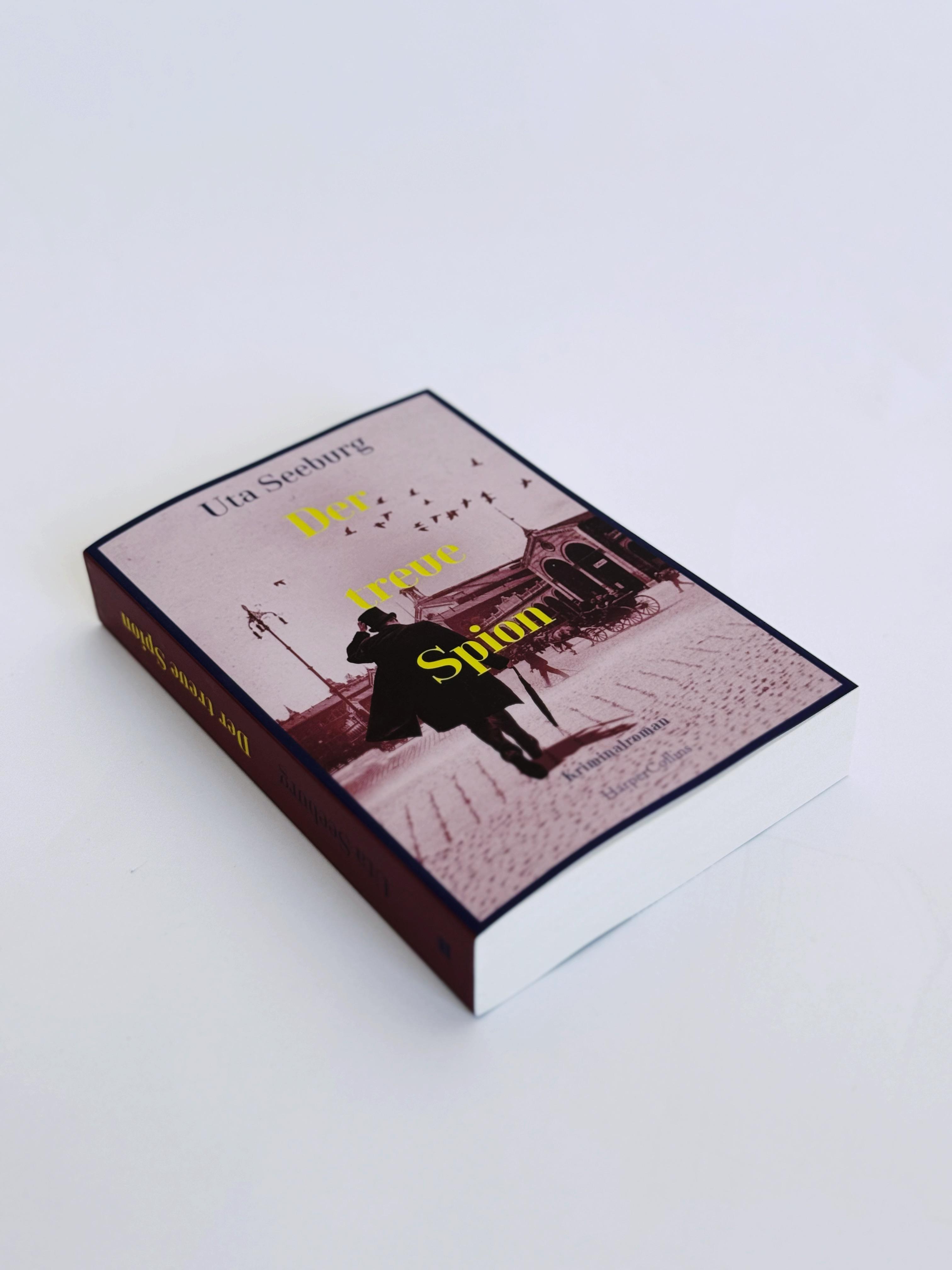 Beispielinhalt (Bild) Der treue Spion