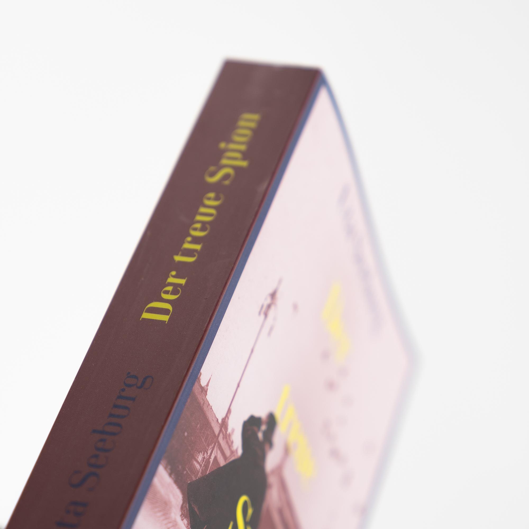 Beispielinhalt (Bild) Der treue Spion