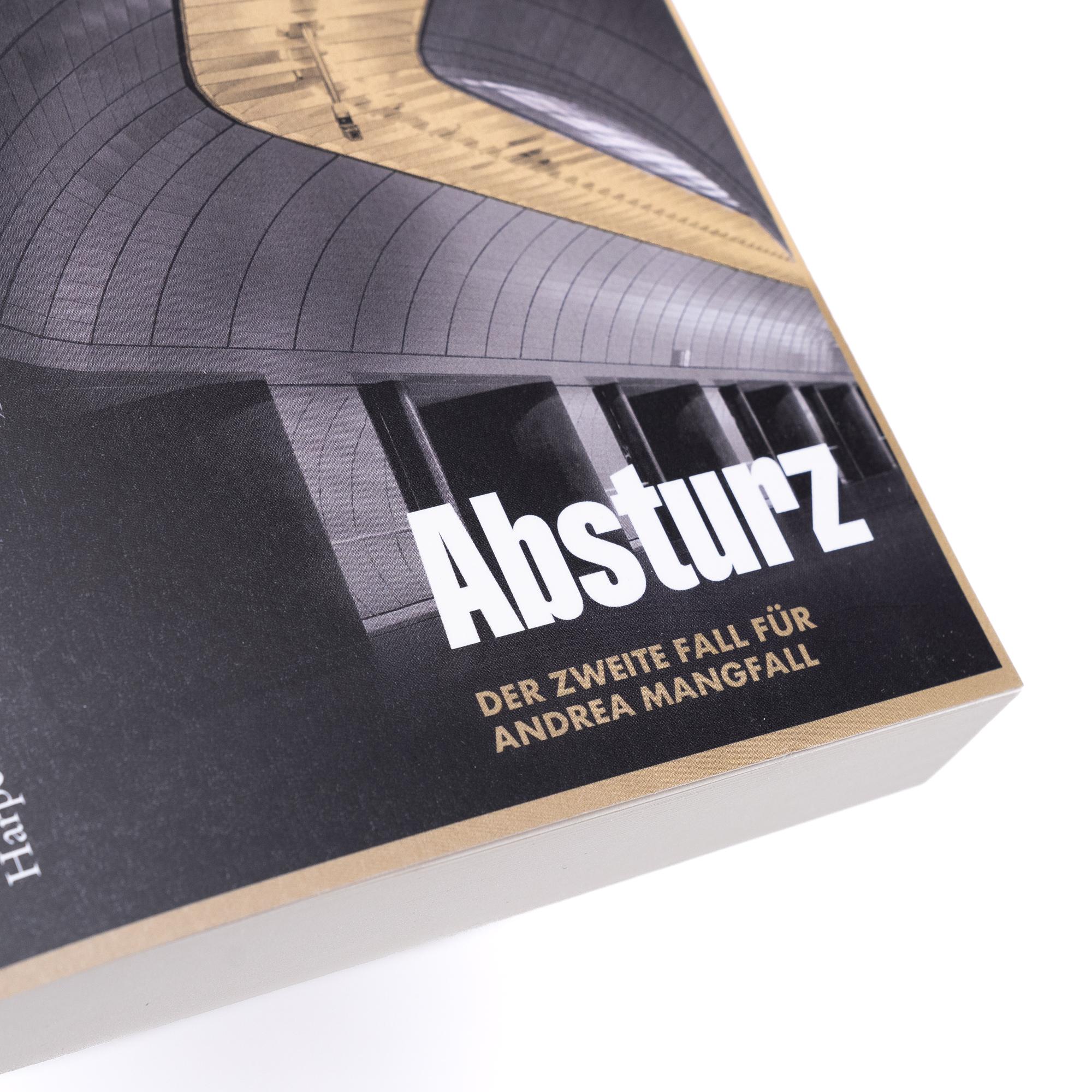 Beispielinhalt (Bild) Absturz
