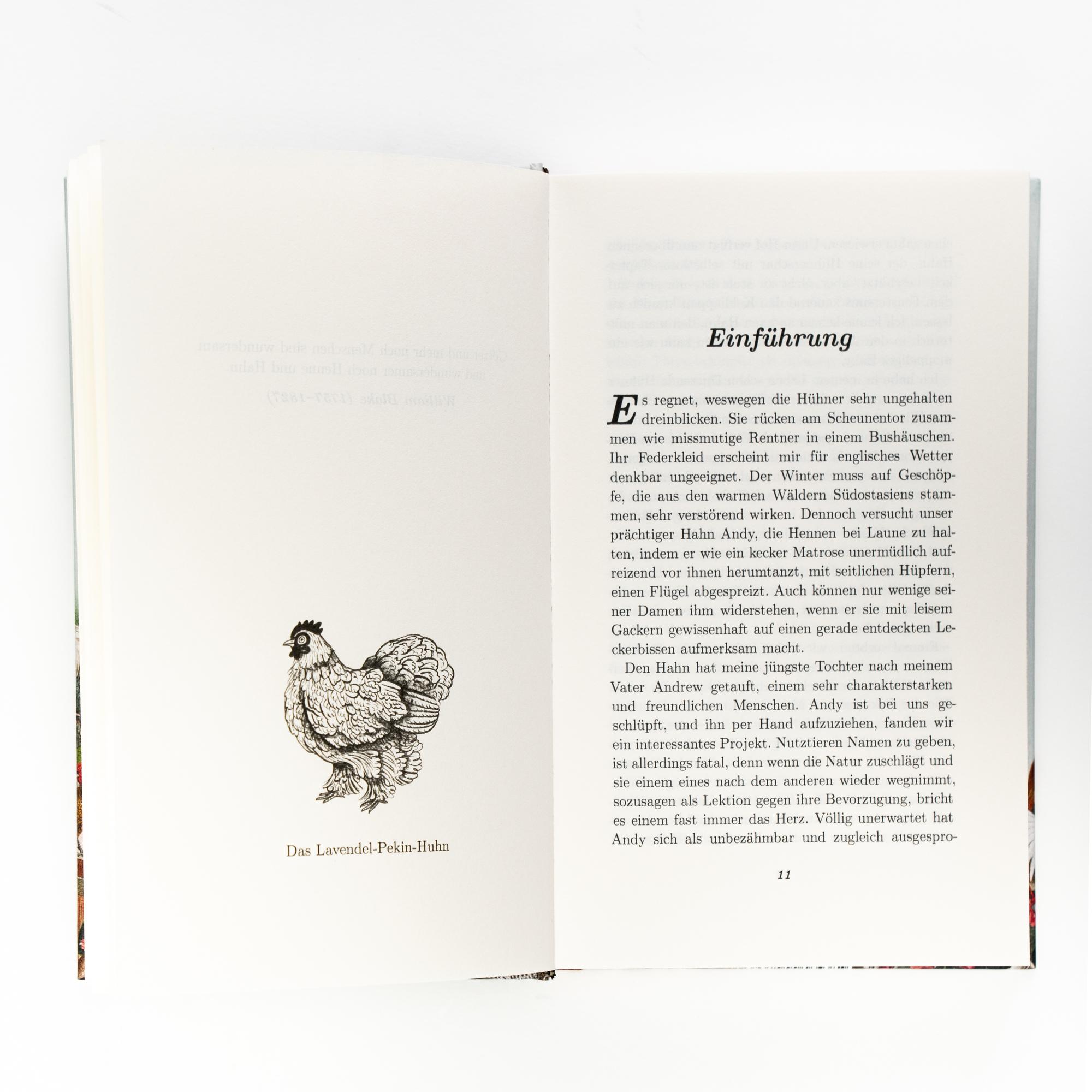 Beispielinhalt (Bild) Am Anfang war das Huhn. Geschichte eines Charaktertiers