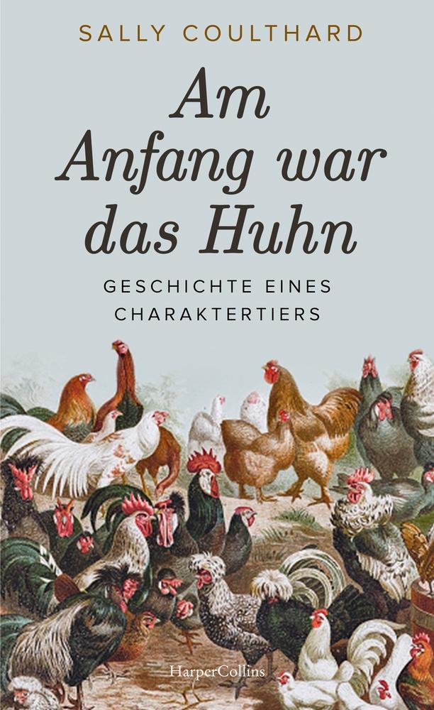 Vorderes Coverbild Am Anfang war das Huhn. Geschichte eines Charaktertiers