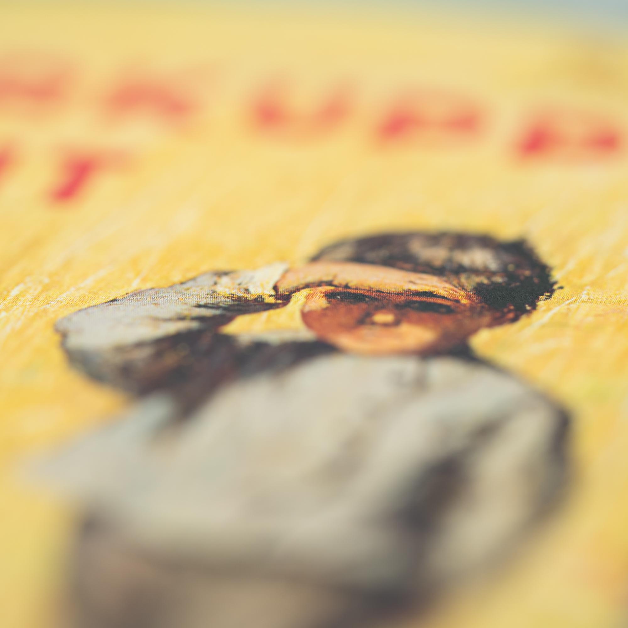 Beispielinhalt (Bild) Eine Fingerkuppe Freiheit