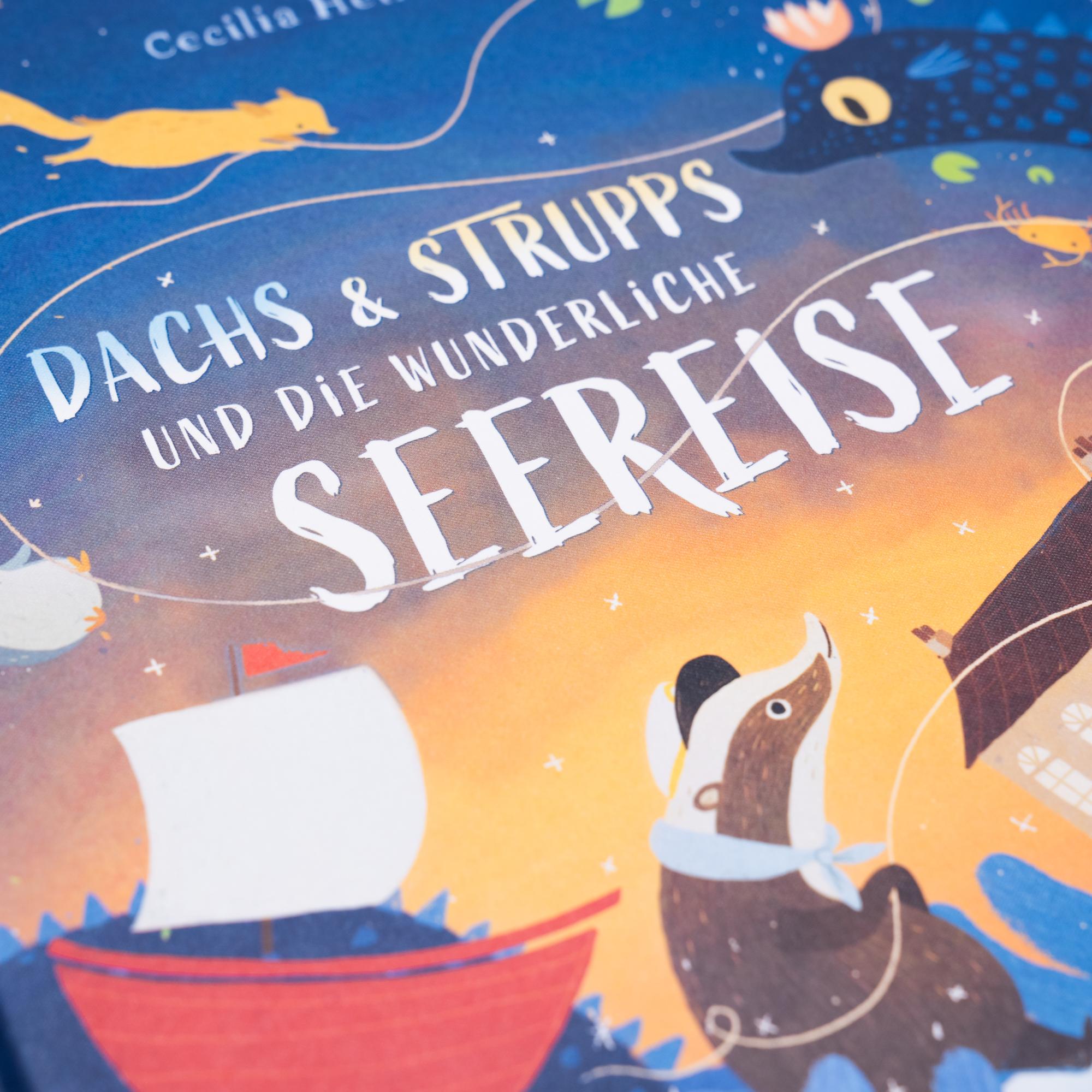 Beispielinhalt (Bild) Dachs & Strupps und die wunderliche Seereise