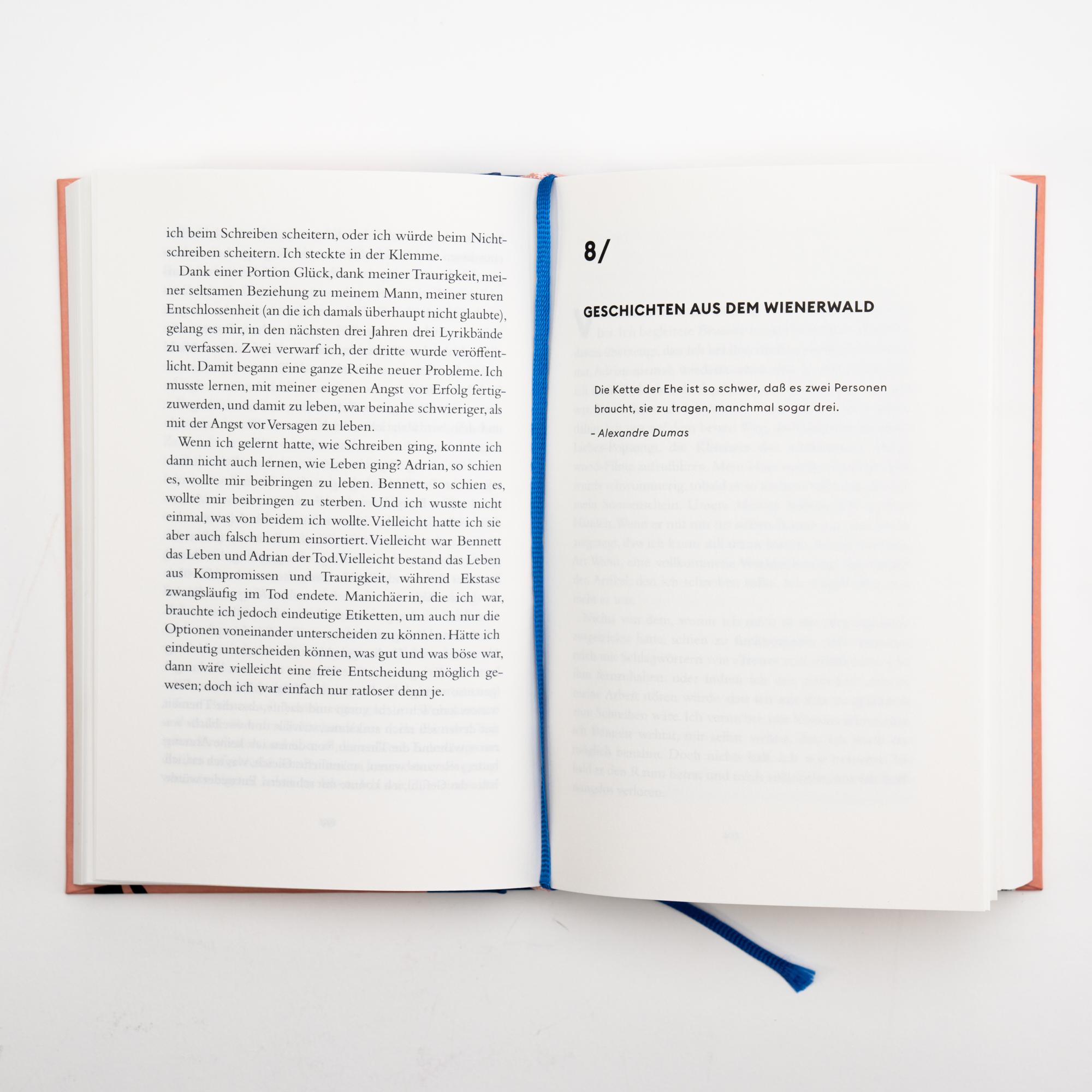 Beispielinhalt (Bild) Angst vorm Fliegen