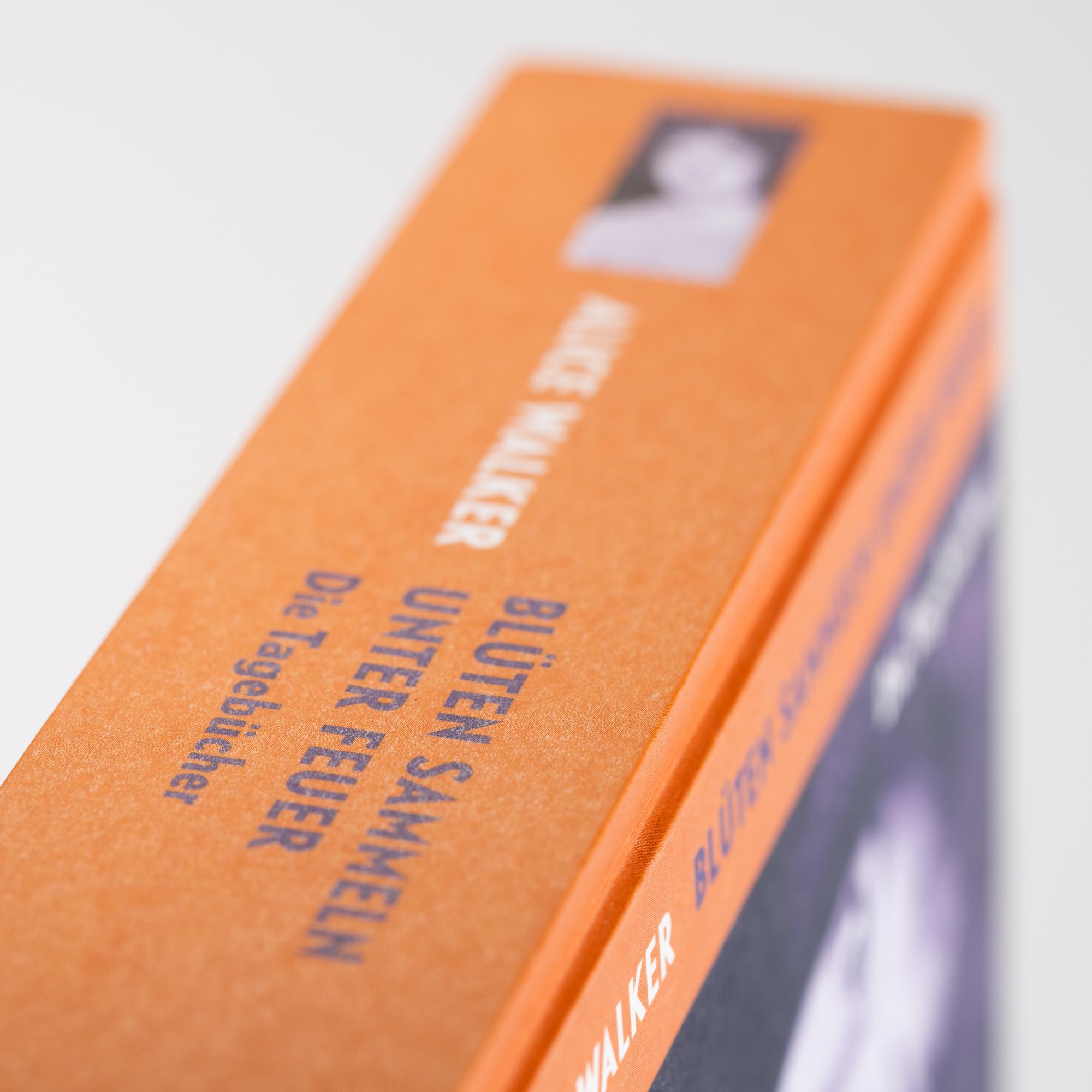 Beispielinhalt (Bild) Blüten sammeln unter Feuer