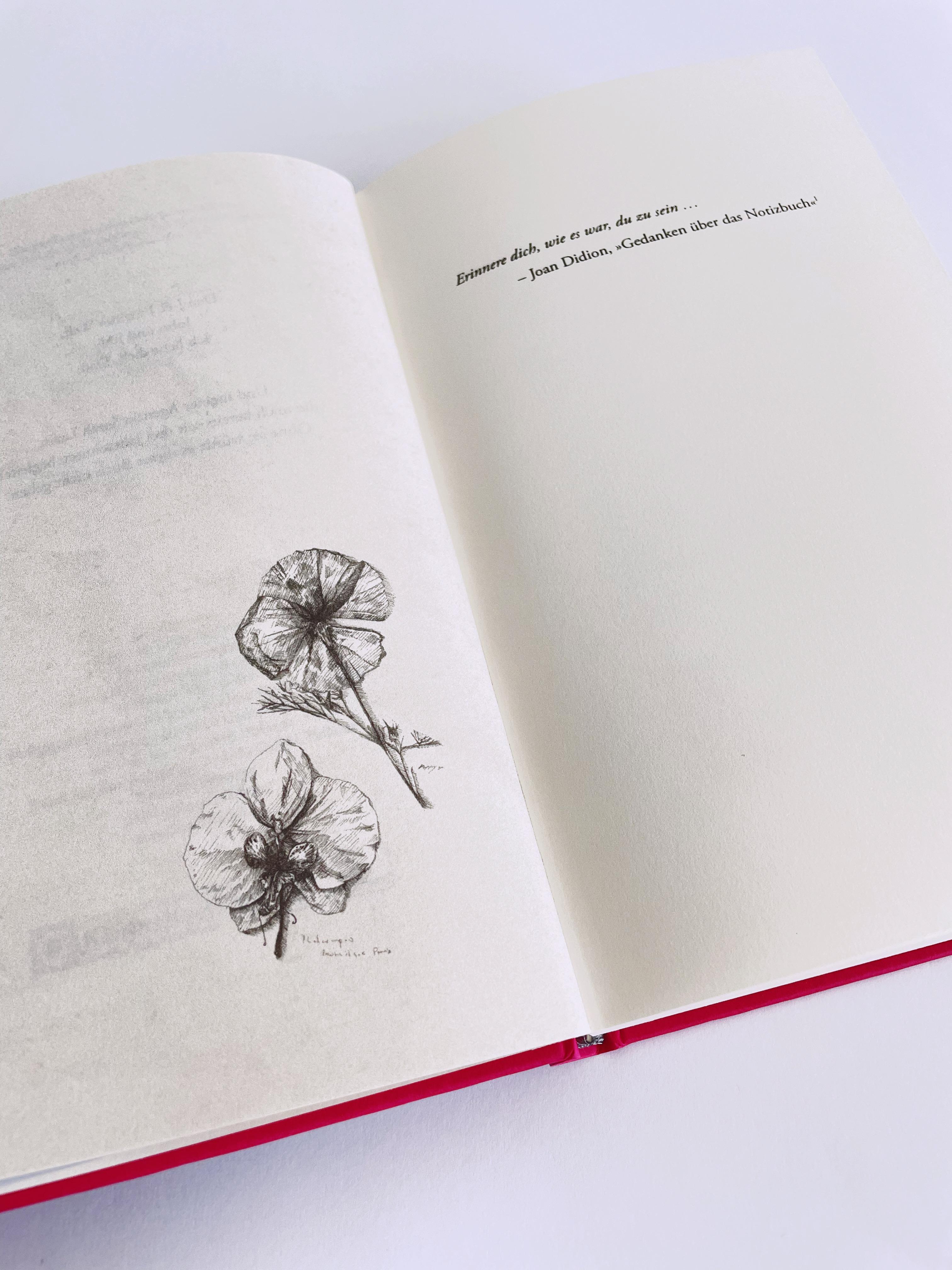 Beispielinhalt (Bild) Joan Didion und wie sie die Welt sah