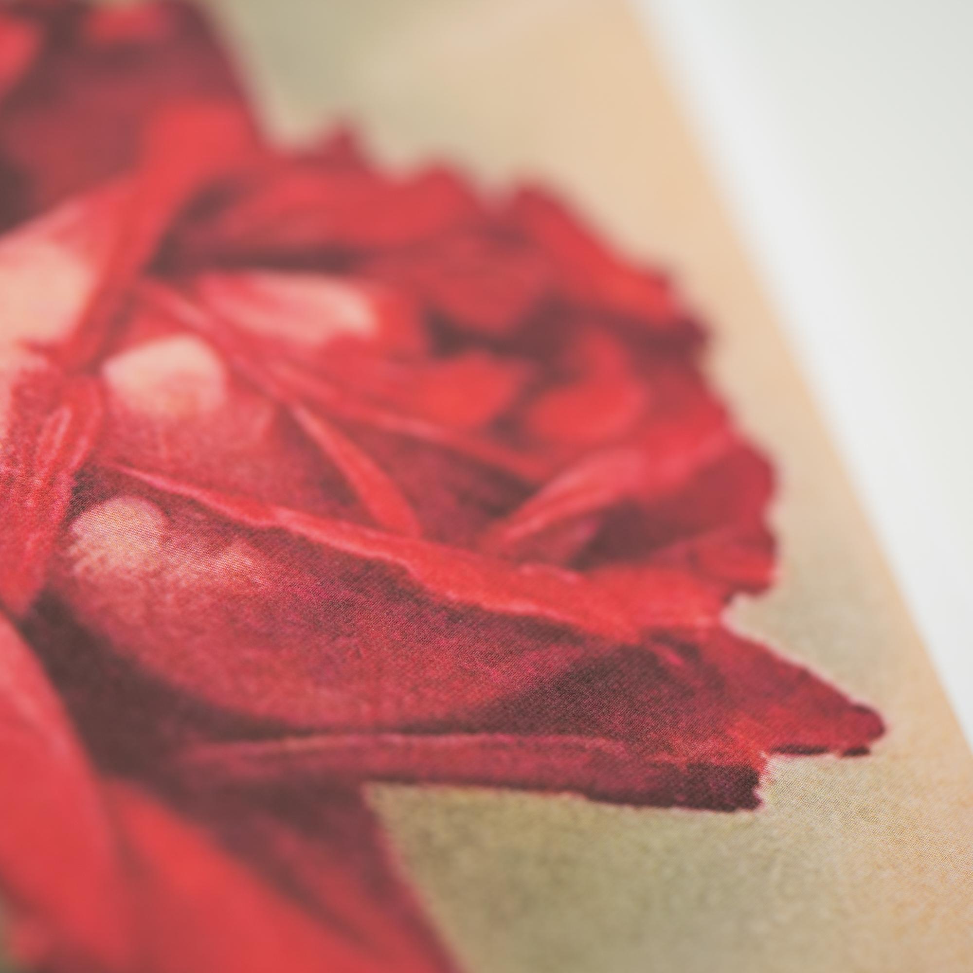 Beispielinhalt (Bild) Was uns Rose heißt. Über die trefflichste aller Blumen