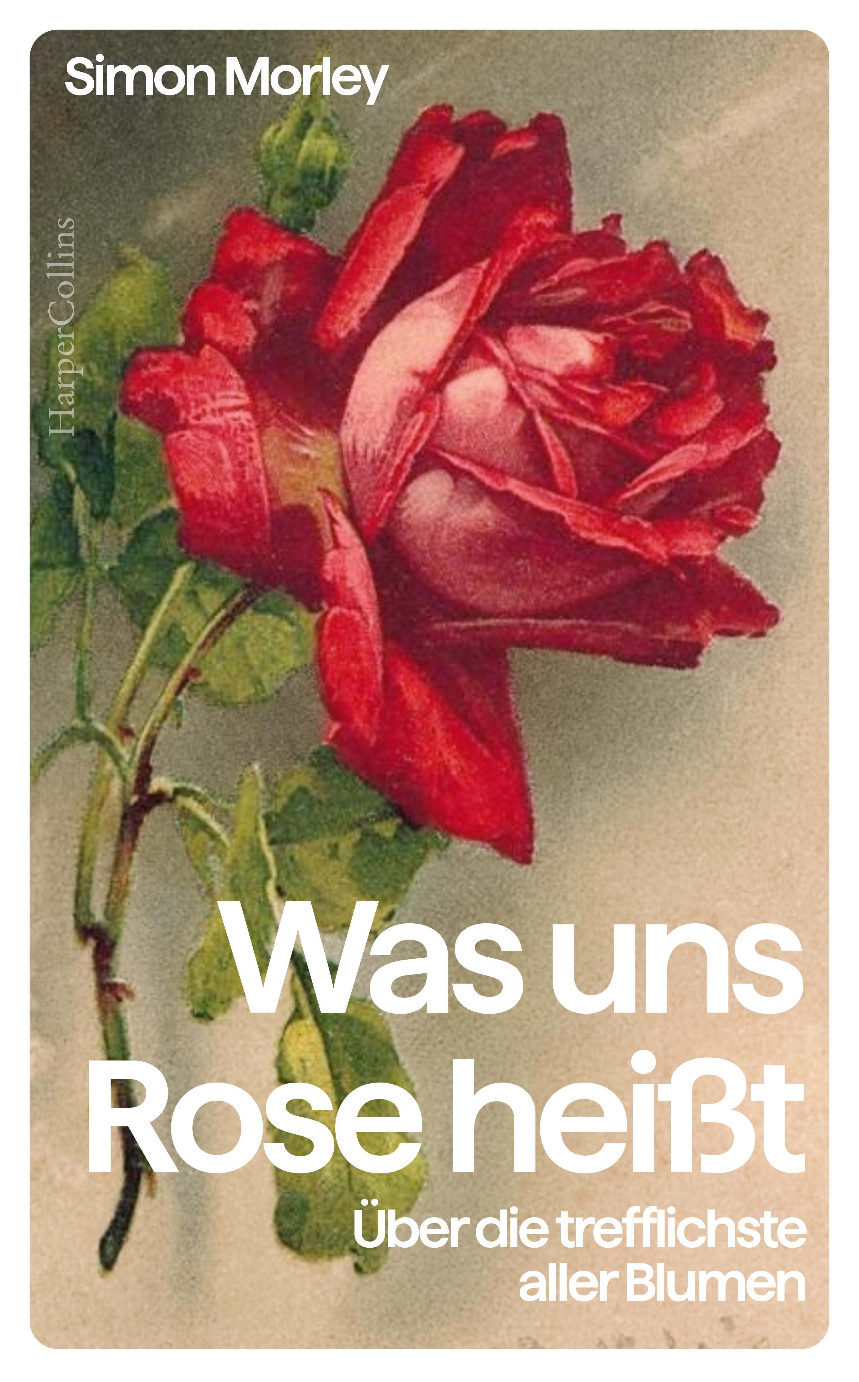 Vorderes Coverbild Was uns Rose heißt. Über die trefflichste aller Blumen