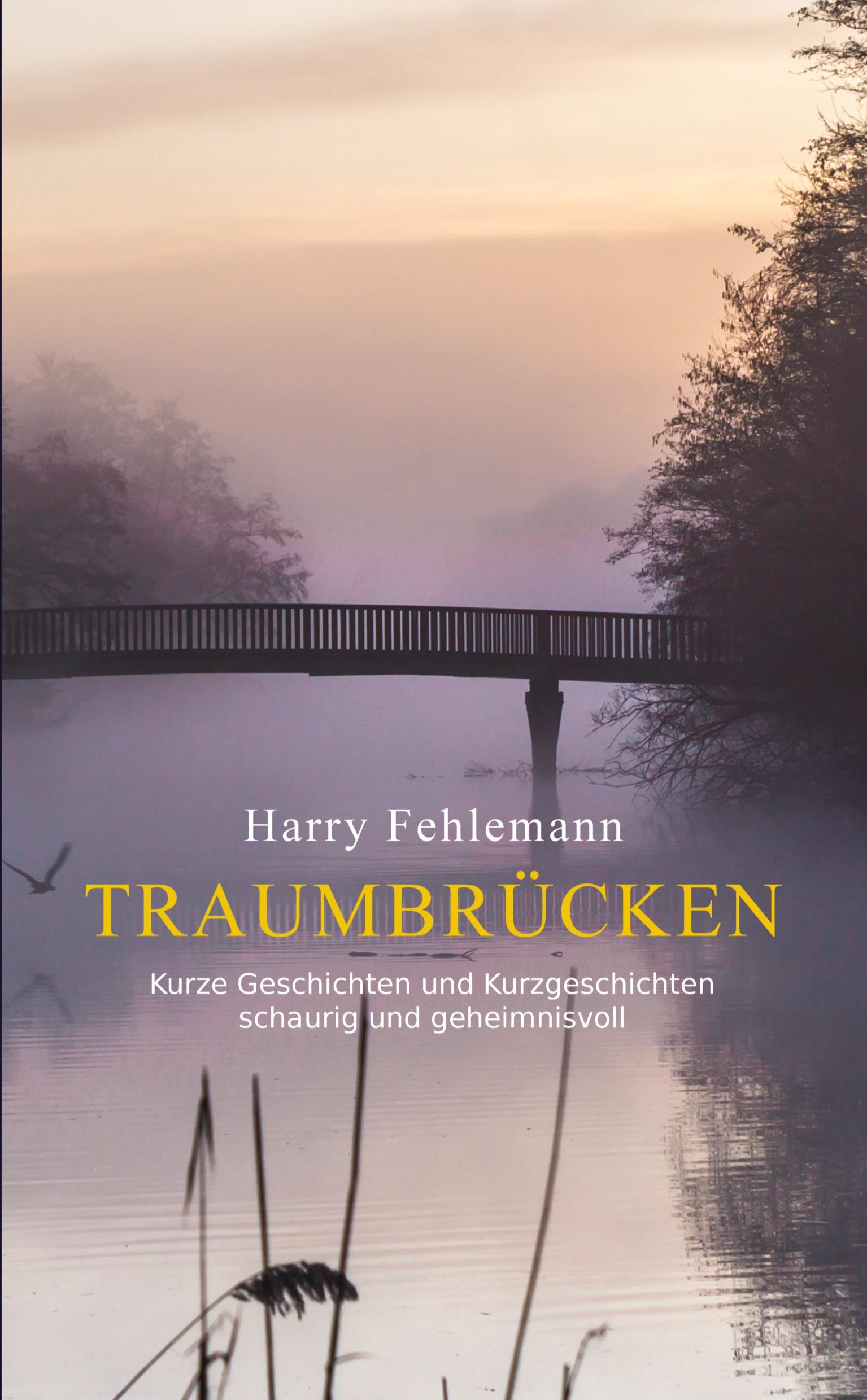 Vorderes Coverbild Traumbrücken