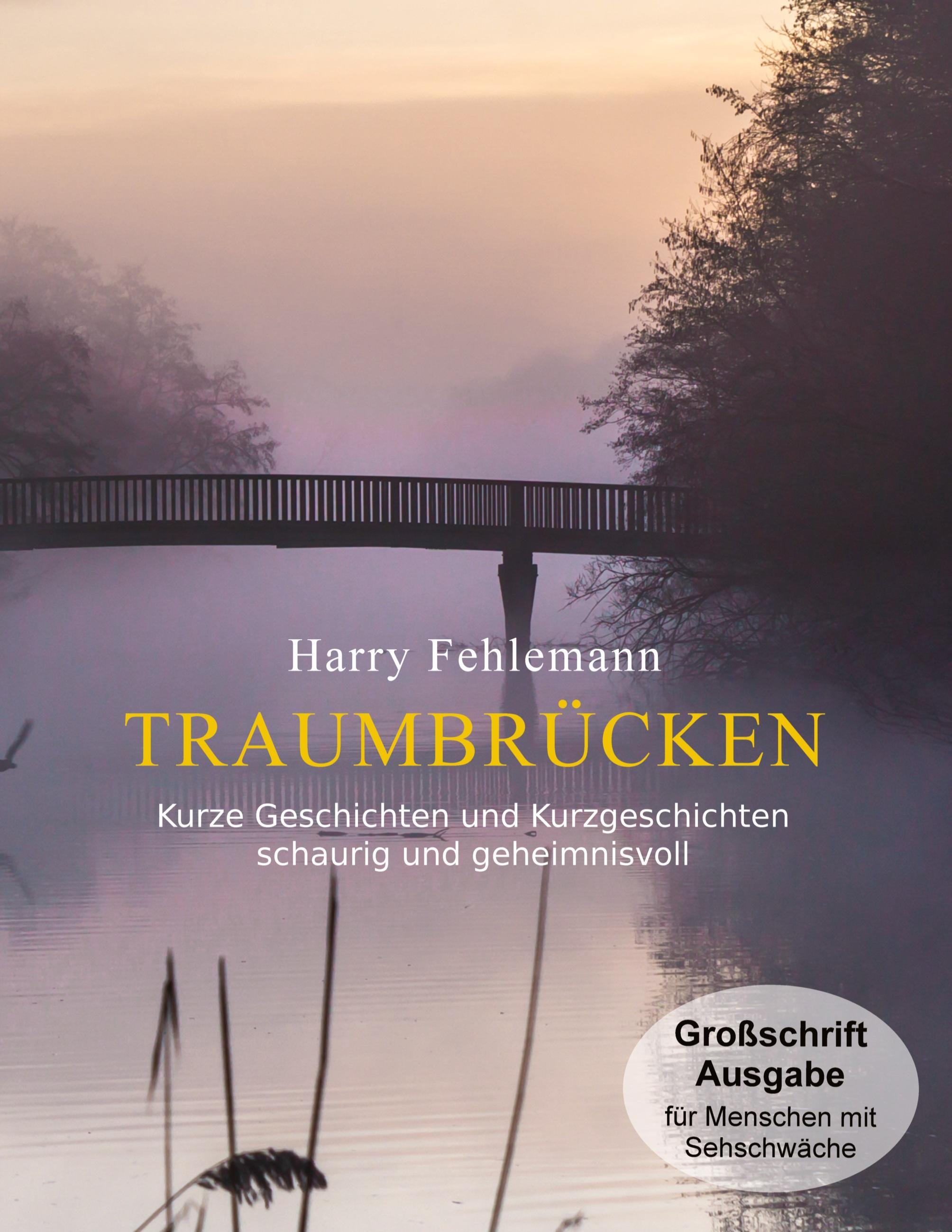 Vorderes Coverbild Traumbrücken