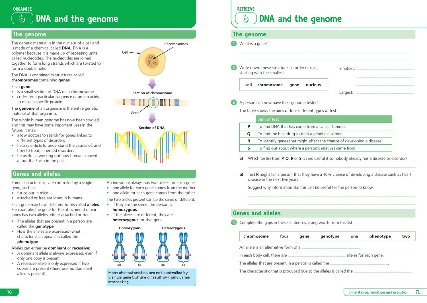 Beispielinhalt (Bild) Collins GCSE Science 9-1: Aqa GCSE 9-1 Combined Science Trilogy Foundation