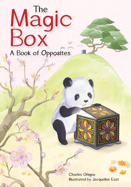 Vorderes Coverbild The Magic Box
