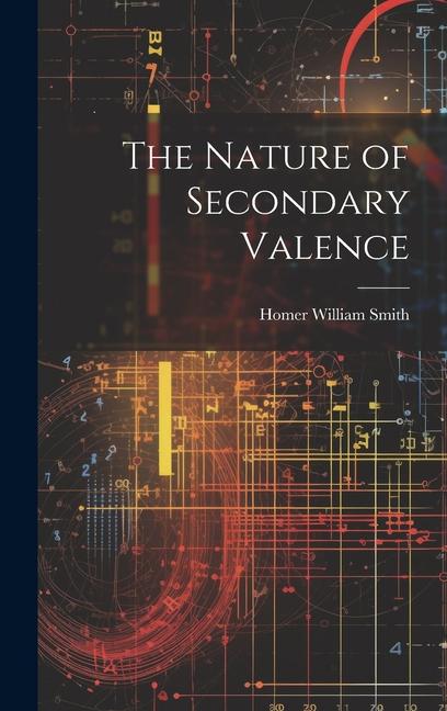 Vorderes Coverbild The Nature of Secondary Valence