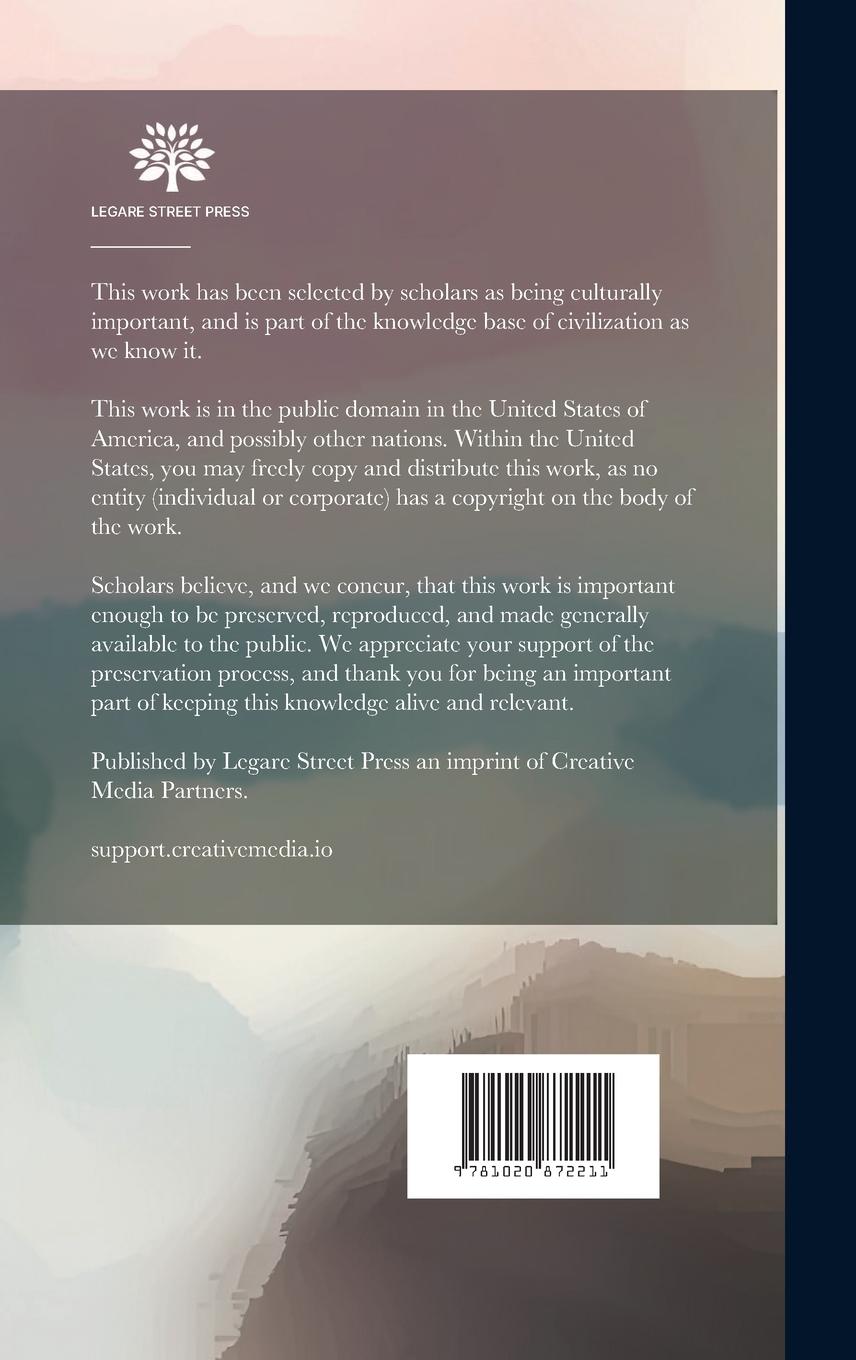 Rückseitencover Blithe McBride