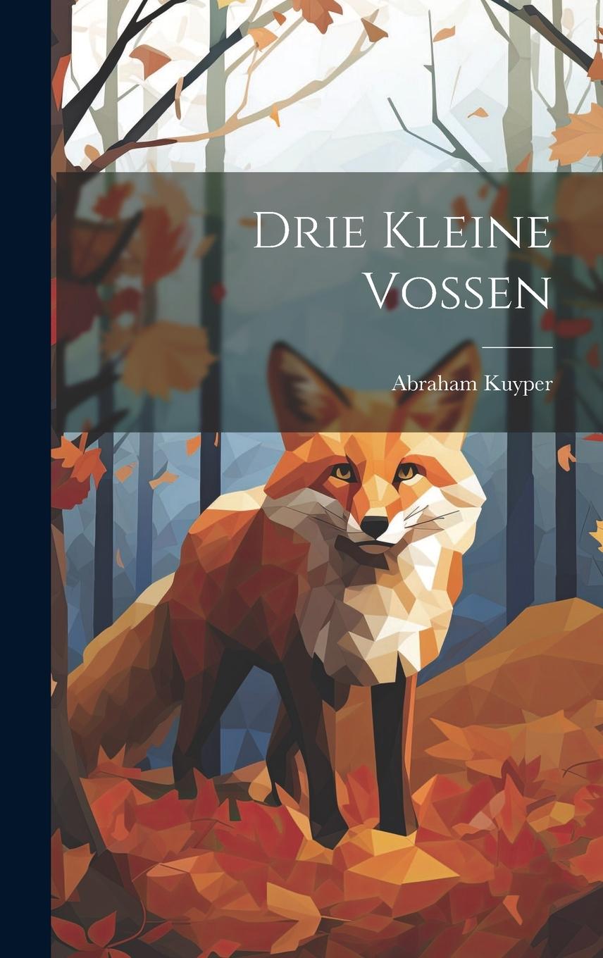 Vorderes Coverbild Drie Kleine Vossen