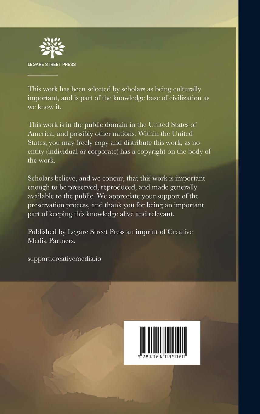 Rückseitencover A Novel "The Ladye Nancye"