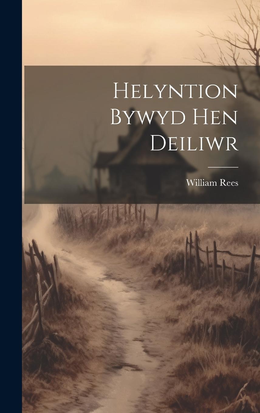 Vorderes Coverbild Helyntion Bywyd Hen Deiliwr