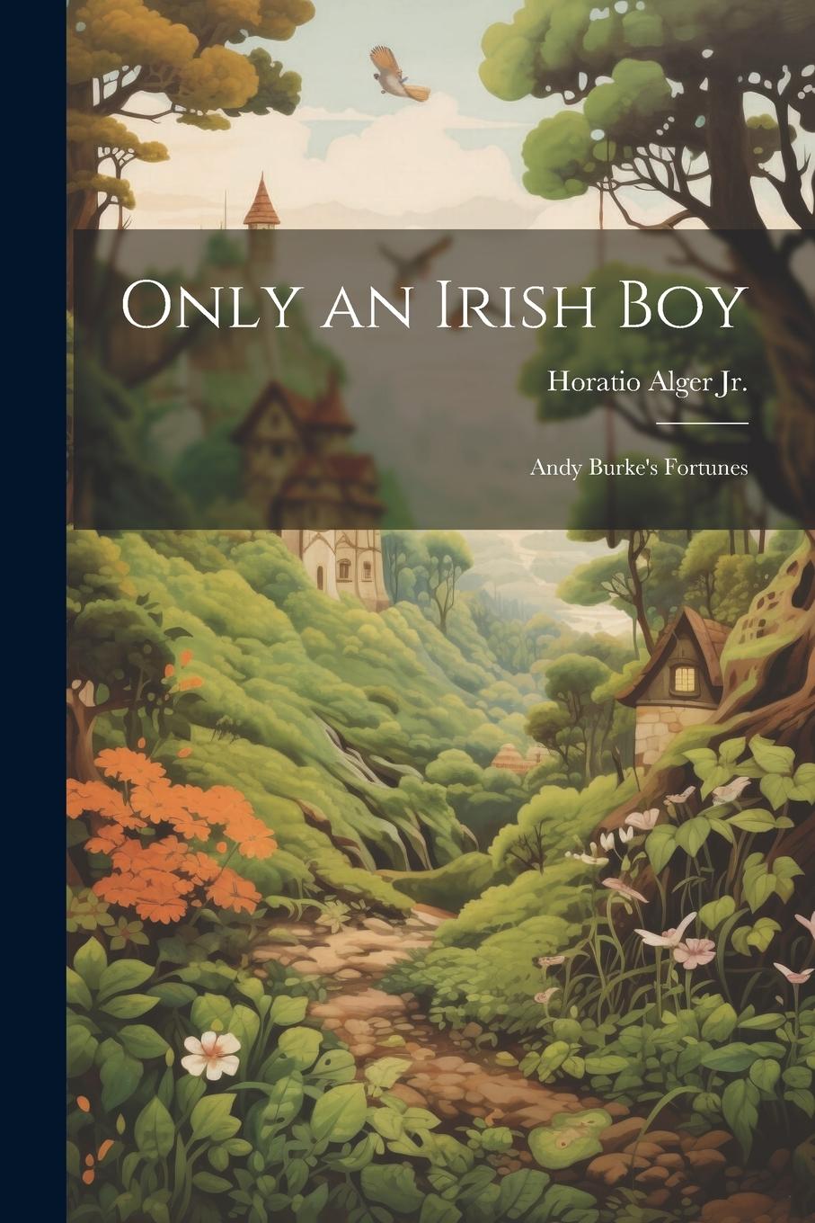 Vorderes Coverbild Only an Irish Boy: Andy Burke's Fortunes