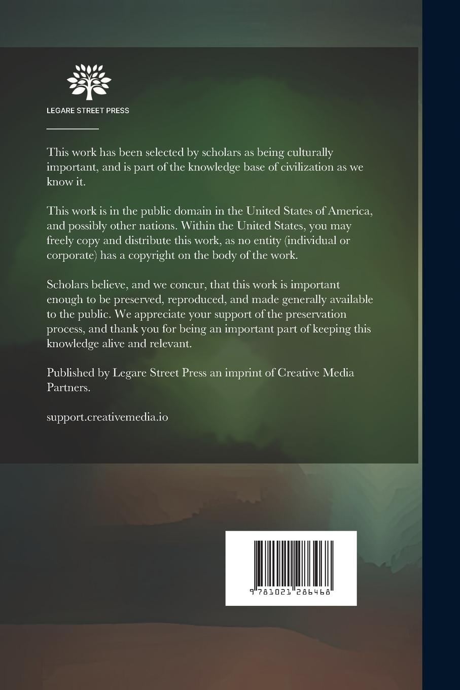 Rückseitencover Integrated Information Environment or Matrix of Control?: The Contradictory Implications of Information Technology