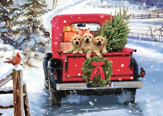 Vorderes Coverbild Bringing Home the Tree Deluxe Boxed Holiday Cards (20 Cards, 21 Self-Sealing Envelopes)