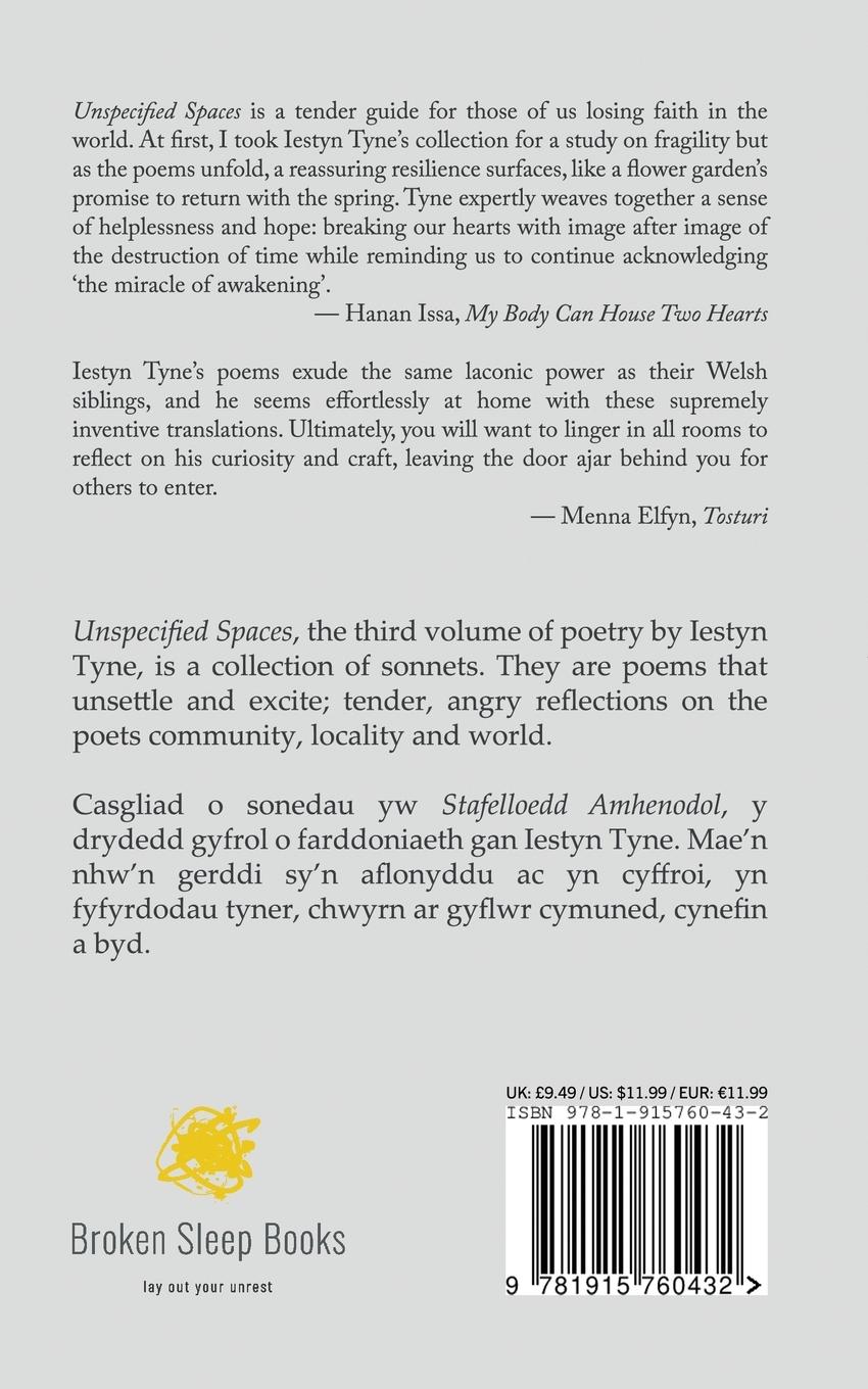 Rückseitencover Unspecified Spaces