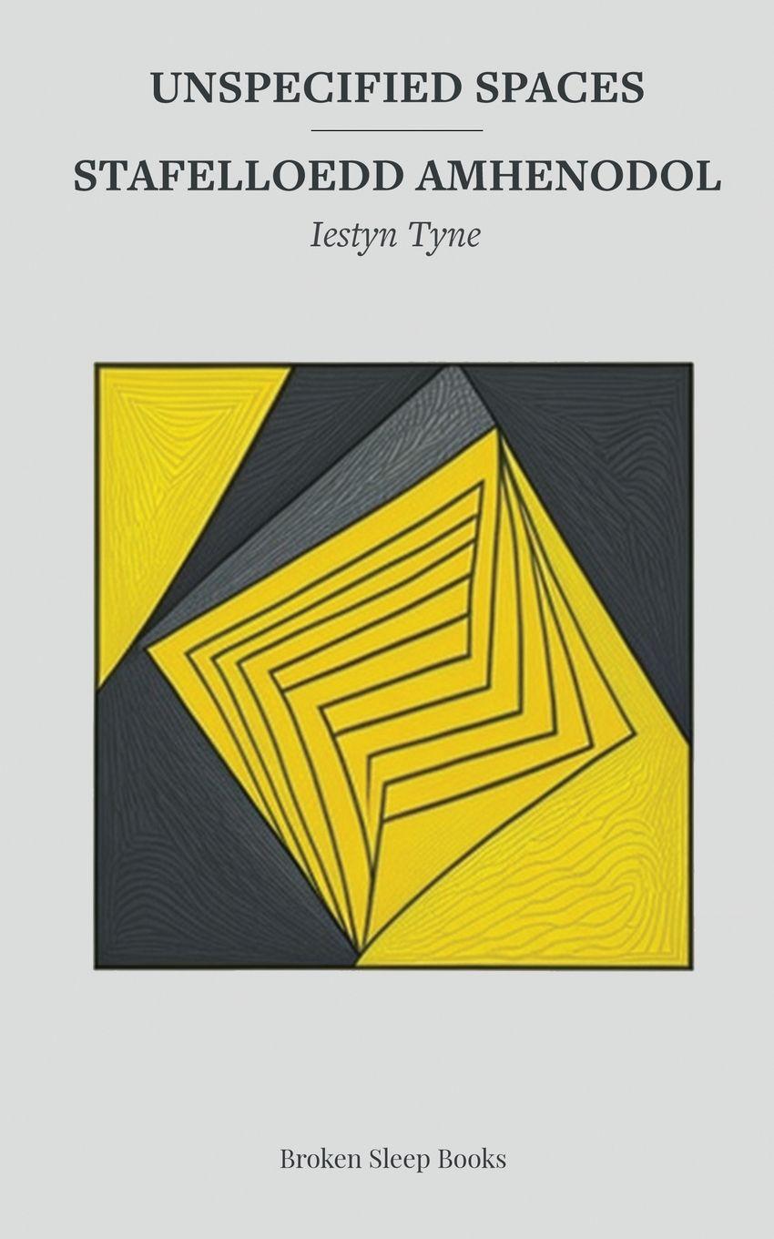 Vorderes Coverbild Unspecified Spaces