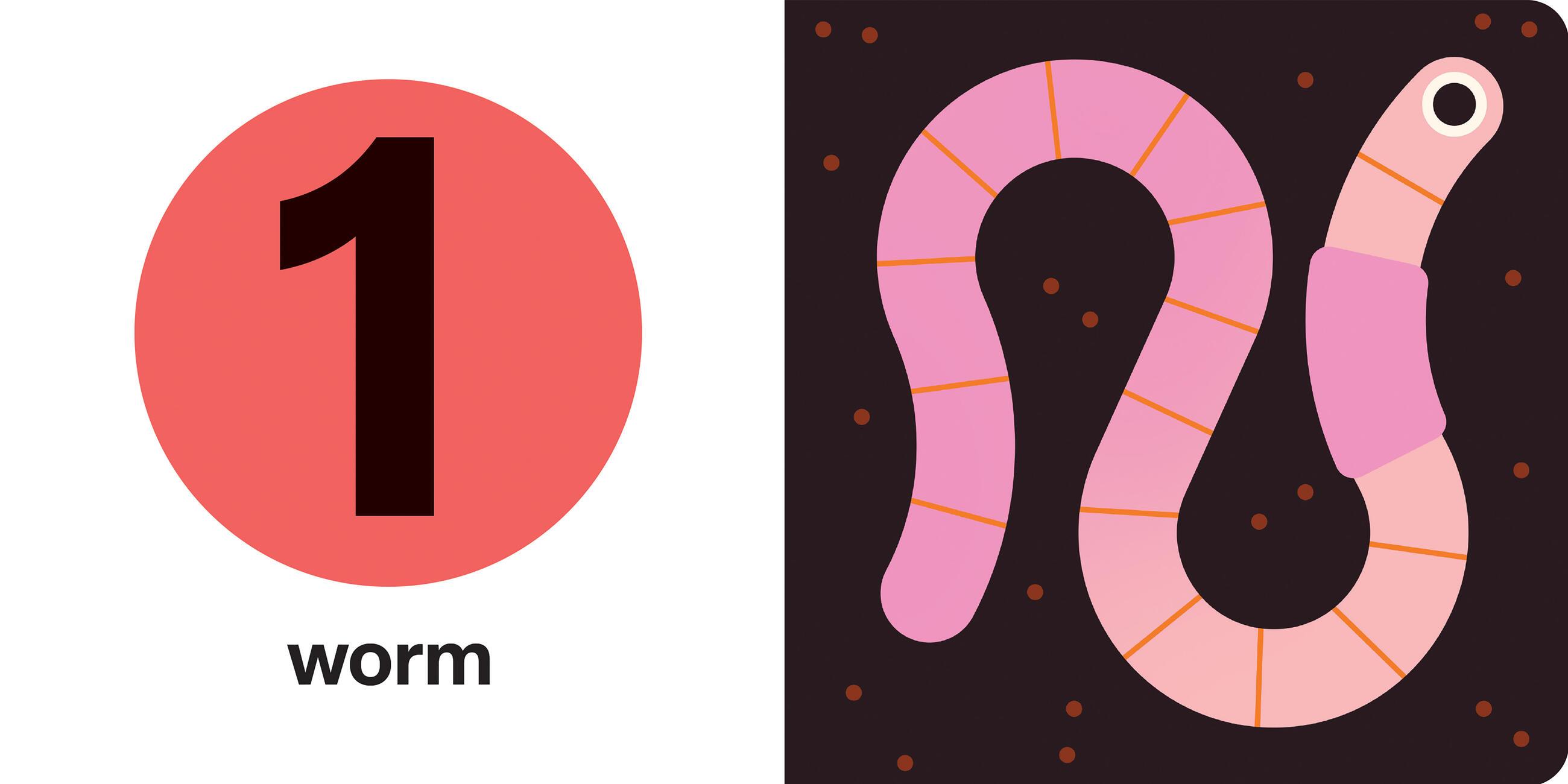 Beispielinhalt (Bild) Spring Street Touch and Trace: Numbers