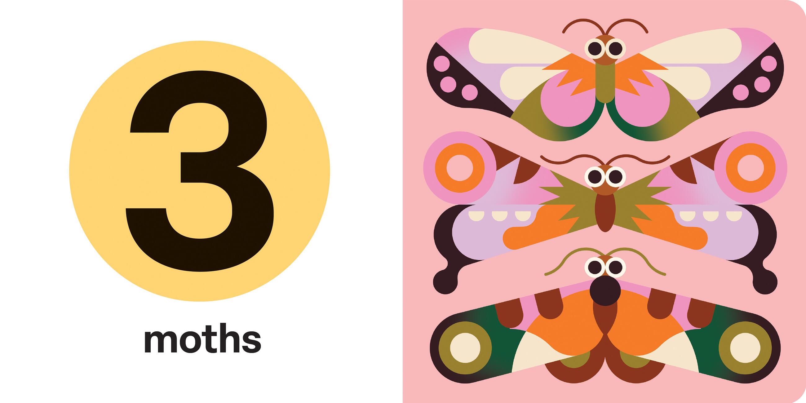 Beispielinhalt (Bild) Spring Street Touch and Trace: Numbers