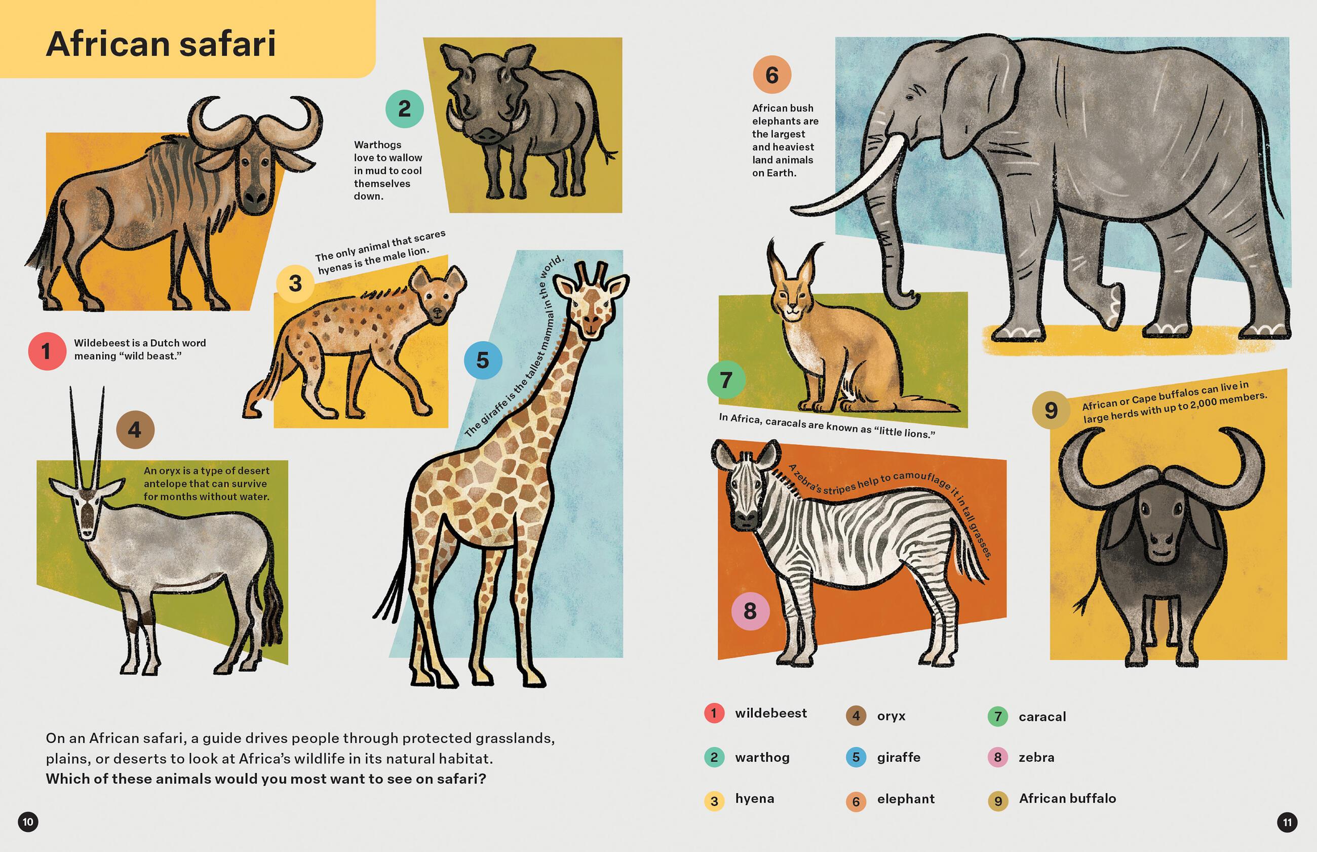 Beispielinhalt (Bild) Spring Street Discover: Animals