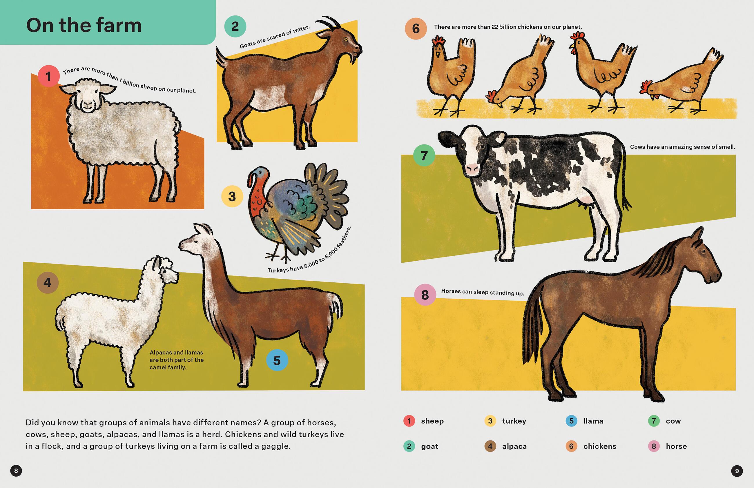 Beispielinhalt (Bild) Spring Street Discover: Animals