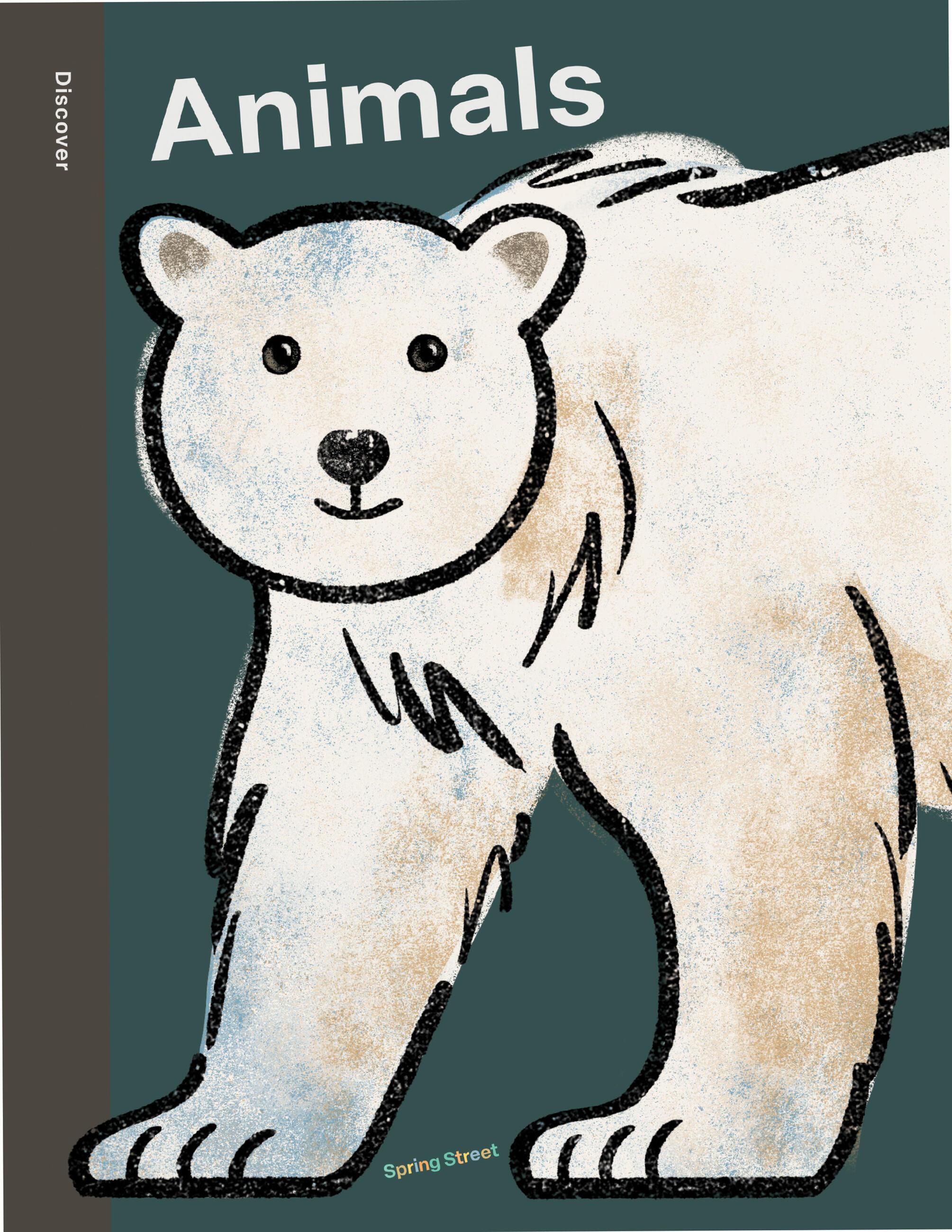 Vorderes Coverbild Spring Street Discover: Animals
