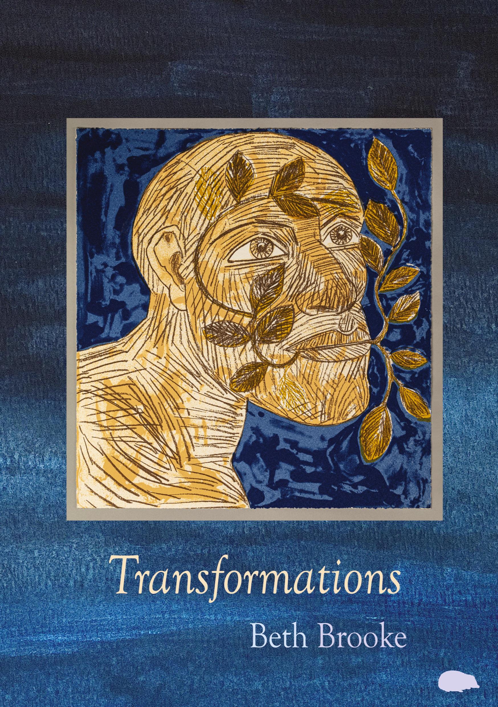 Vorderes Coverbild Transformations