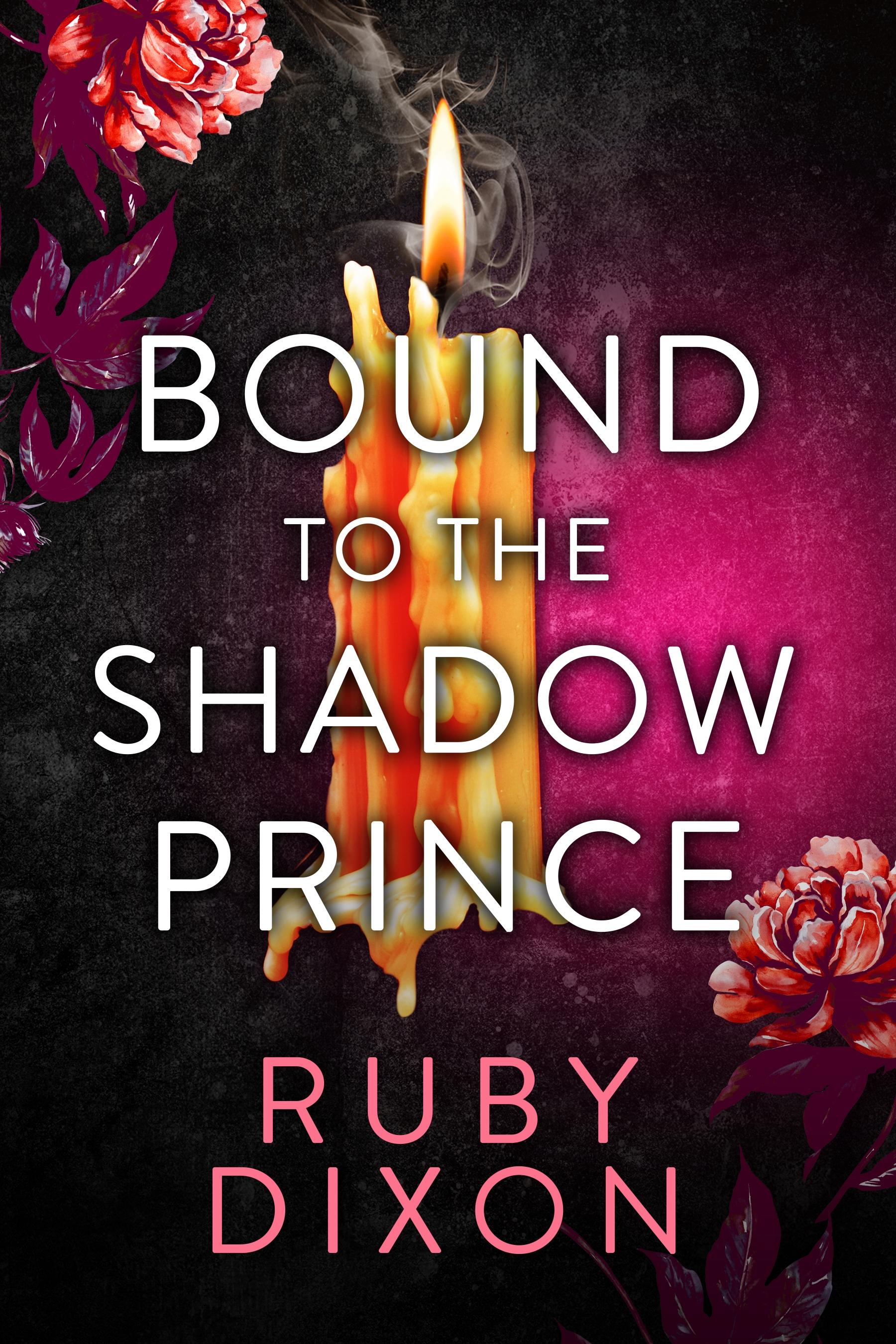 Vorderes Coverbild Bound to the Shadow Prince