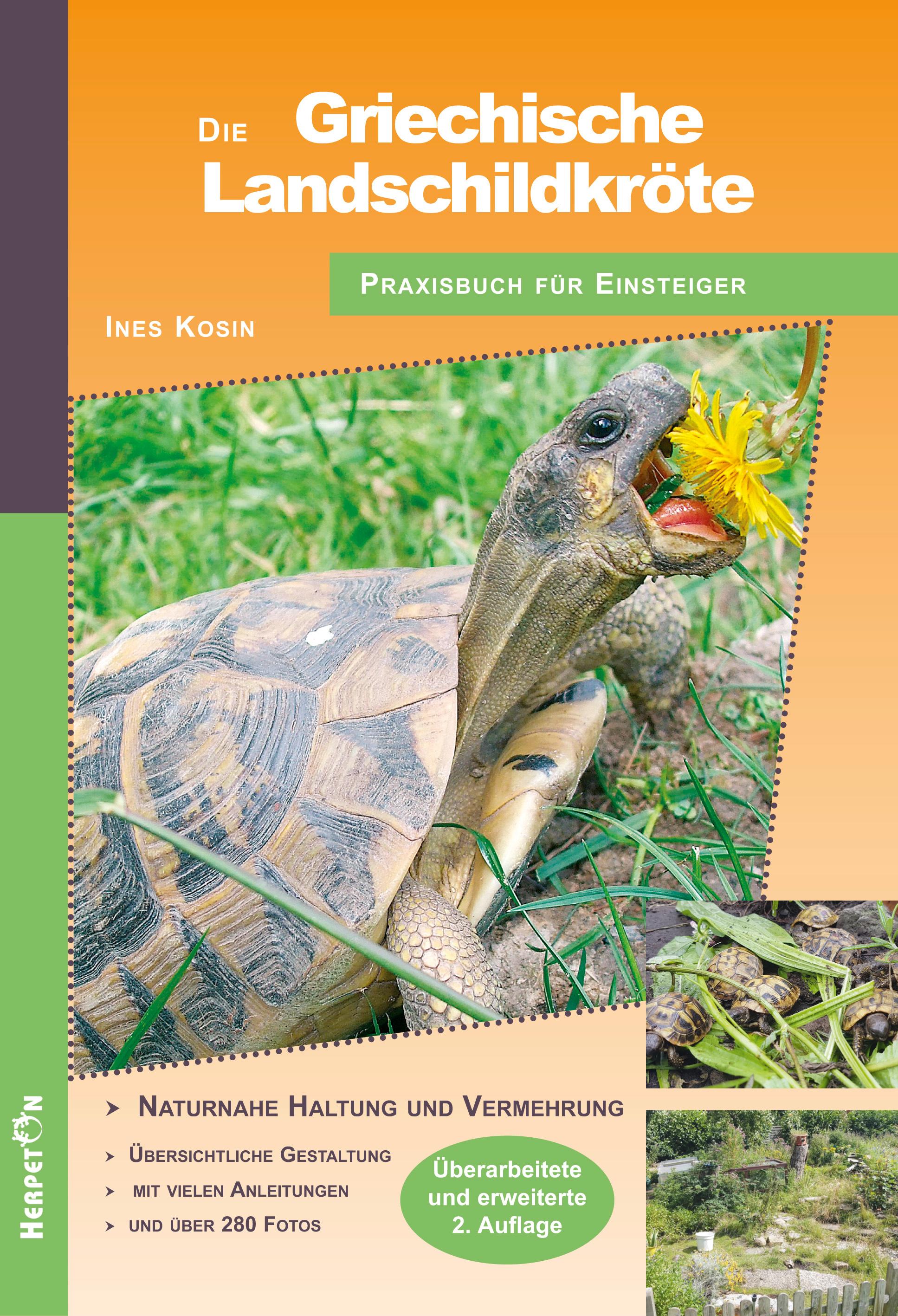 Vorderes Coverbild Die Griechische Landschildkröte
