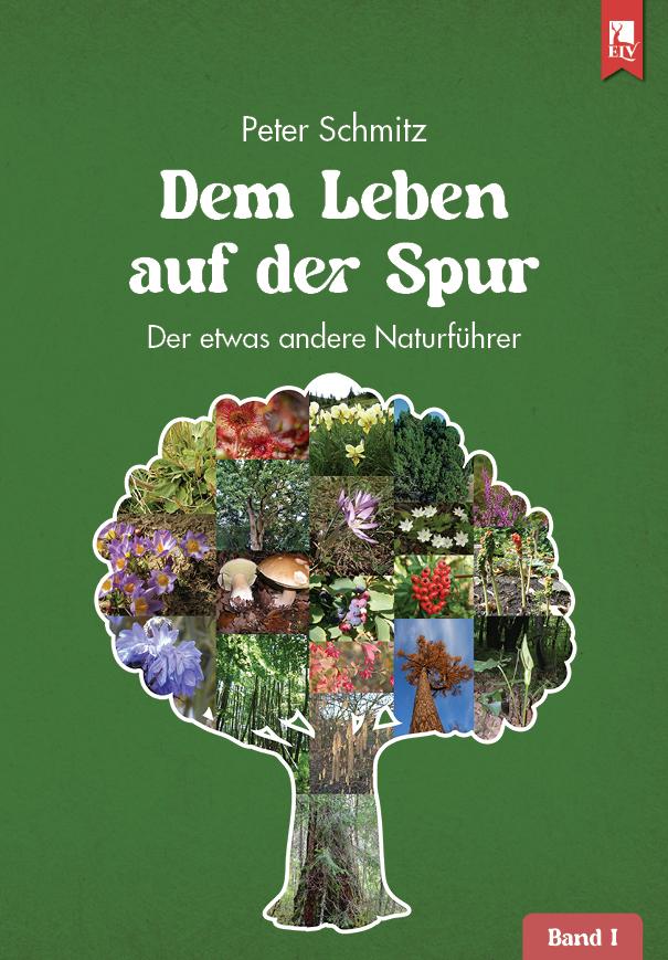 Vorderes Coverbild Dem Leben auf der Spur - Band 1