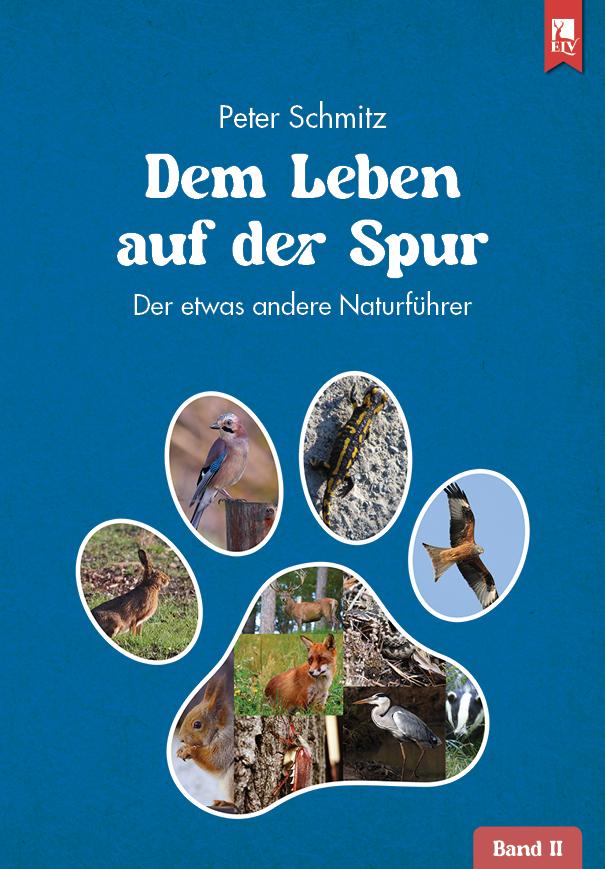 Vorderes Coverbild Dem Leben auf der Spur - Band 2