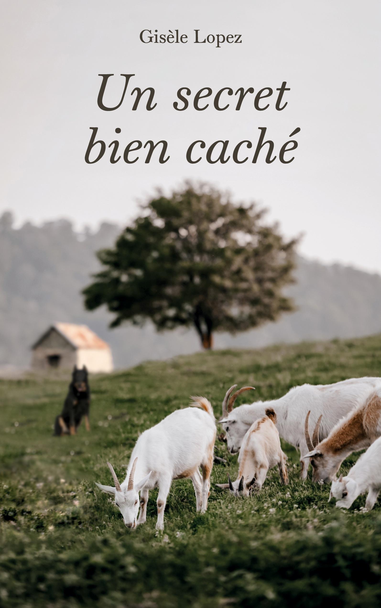 Vorderes Coverbild Un secret bien caché