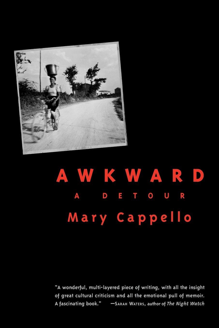 Vorderes Coverbild Awkward